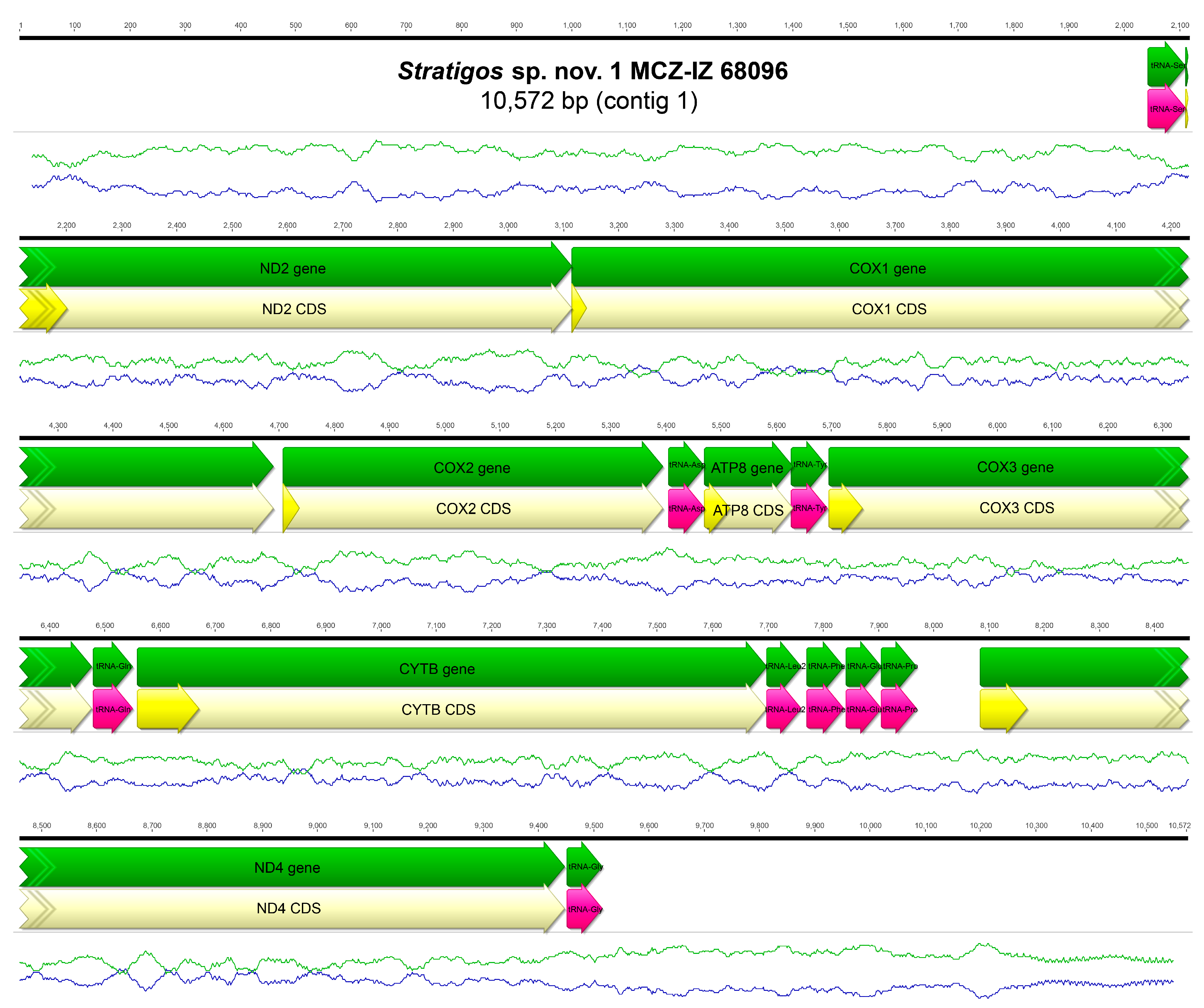 Biology 13 00979 g0a33