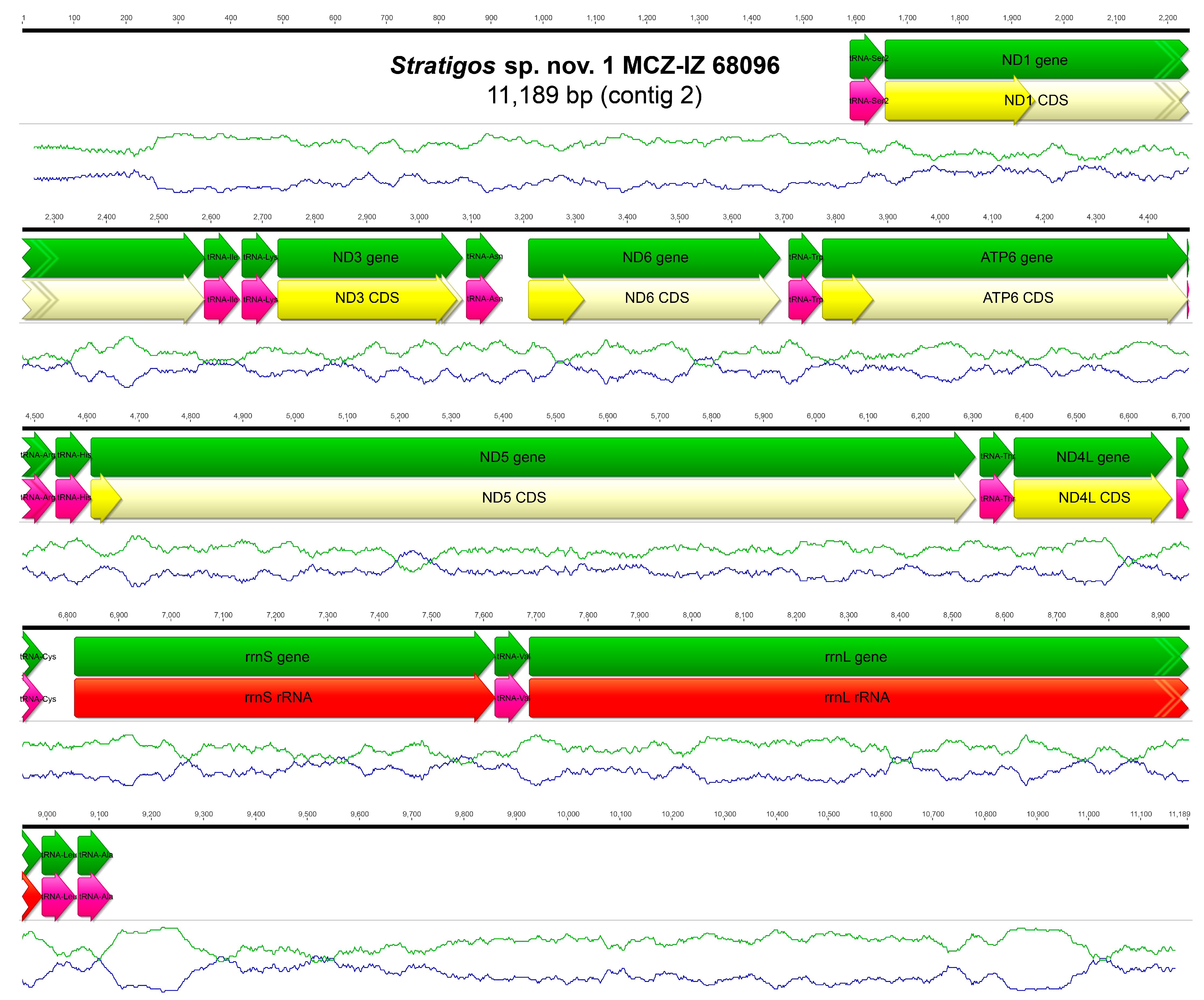 Biology 13 00979 g0a34