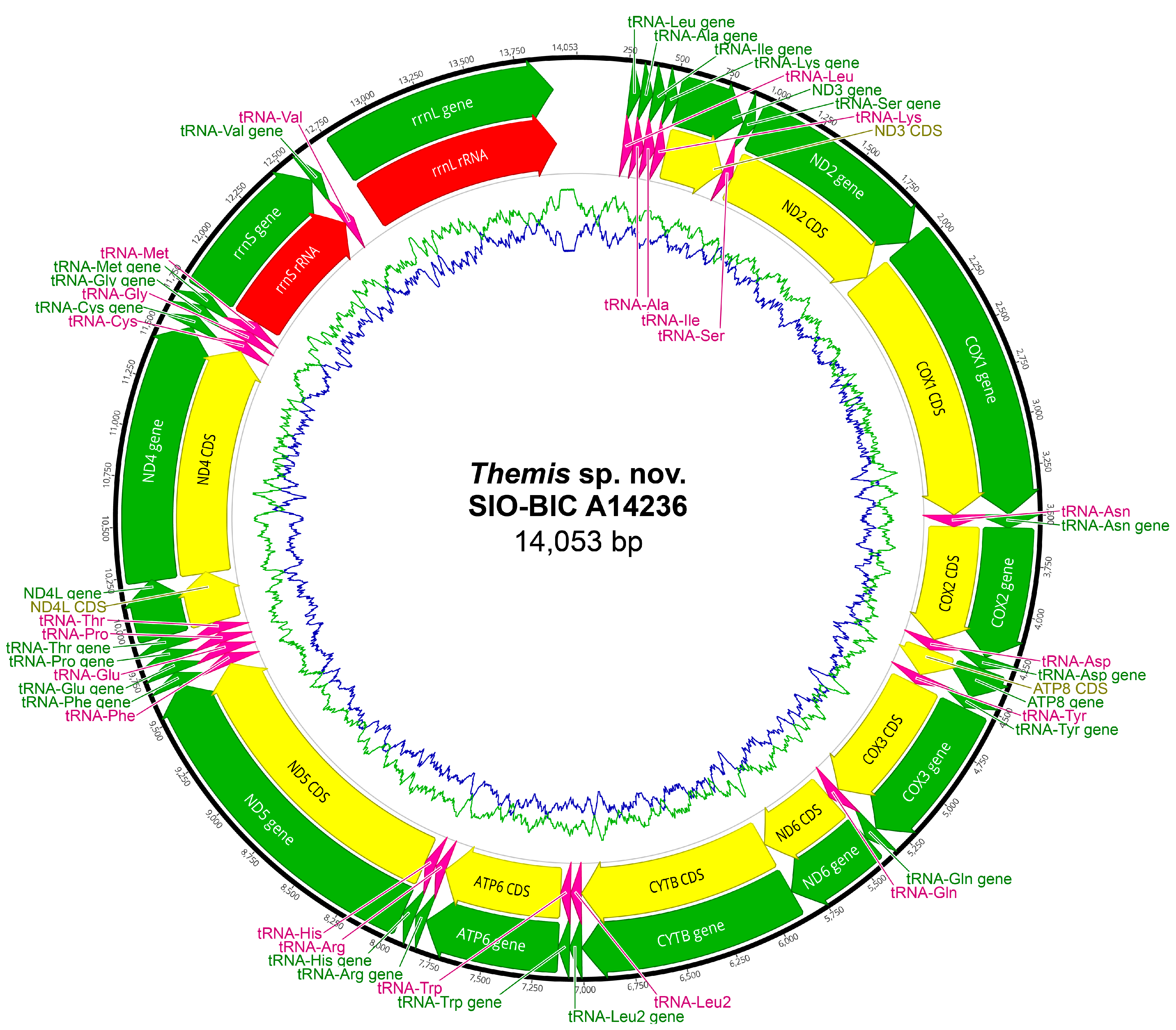 Biology 13 00979 g0a35