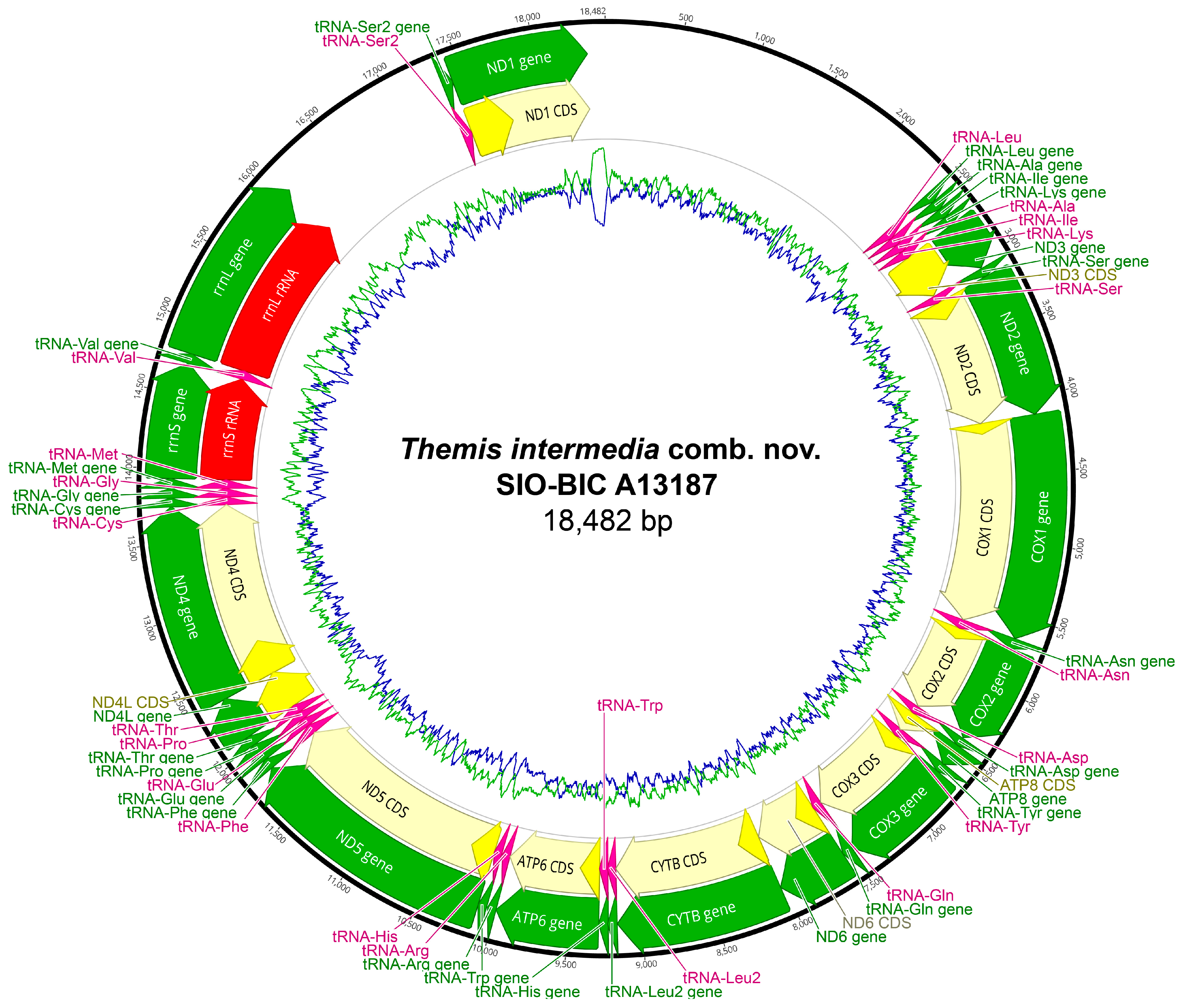 Biology 13 00979 g0a36