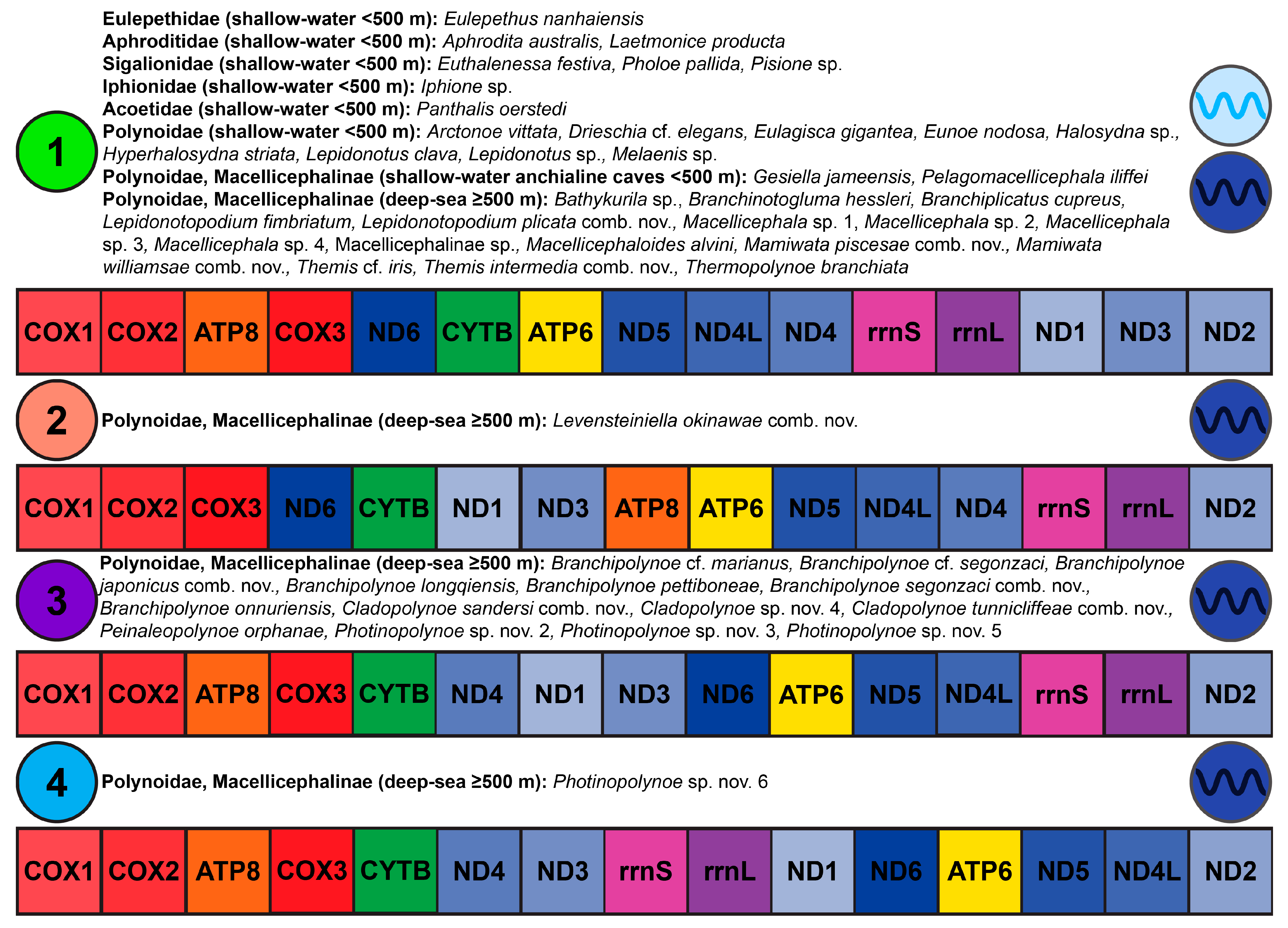 Biology 13 00979 g0a38