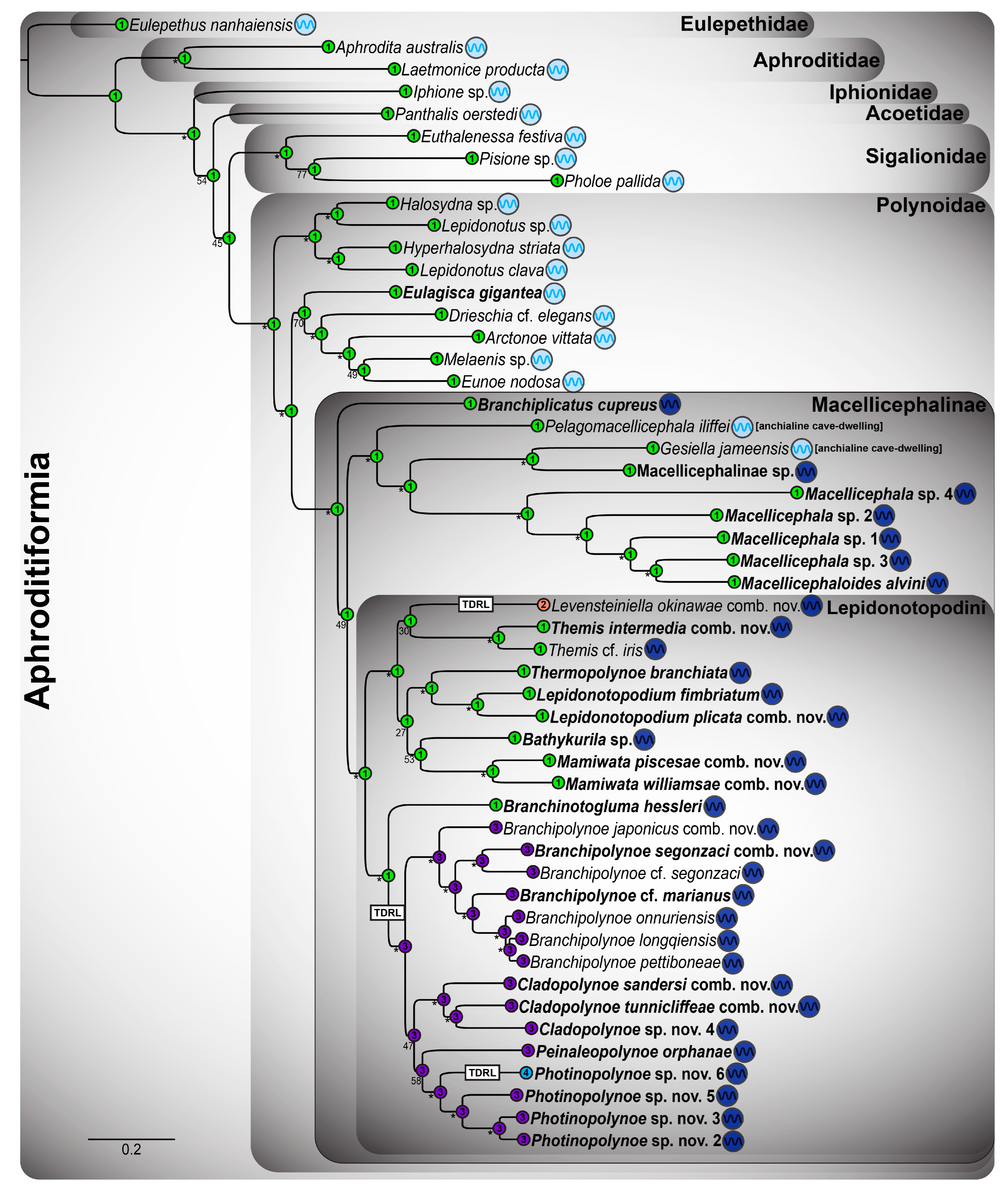 Biology 13 00979 g0a39