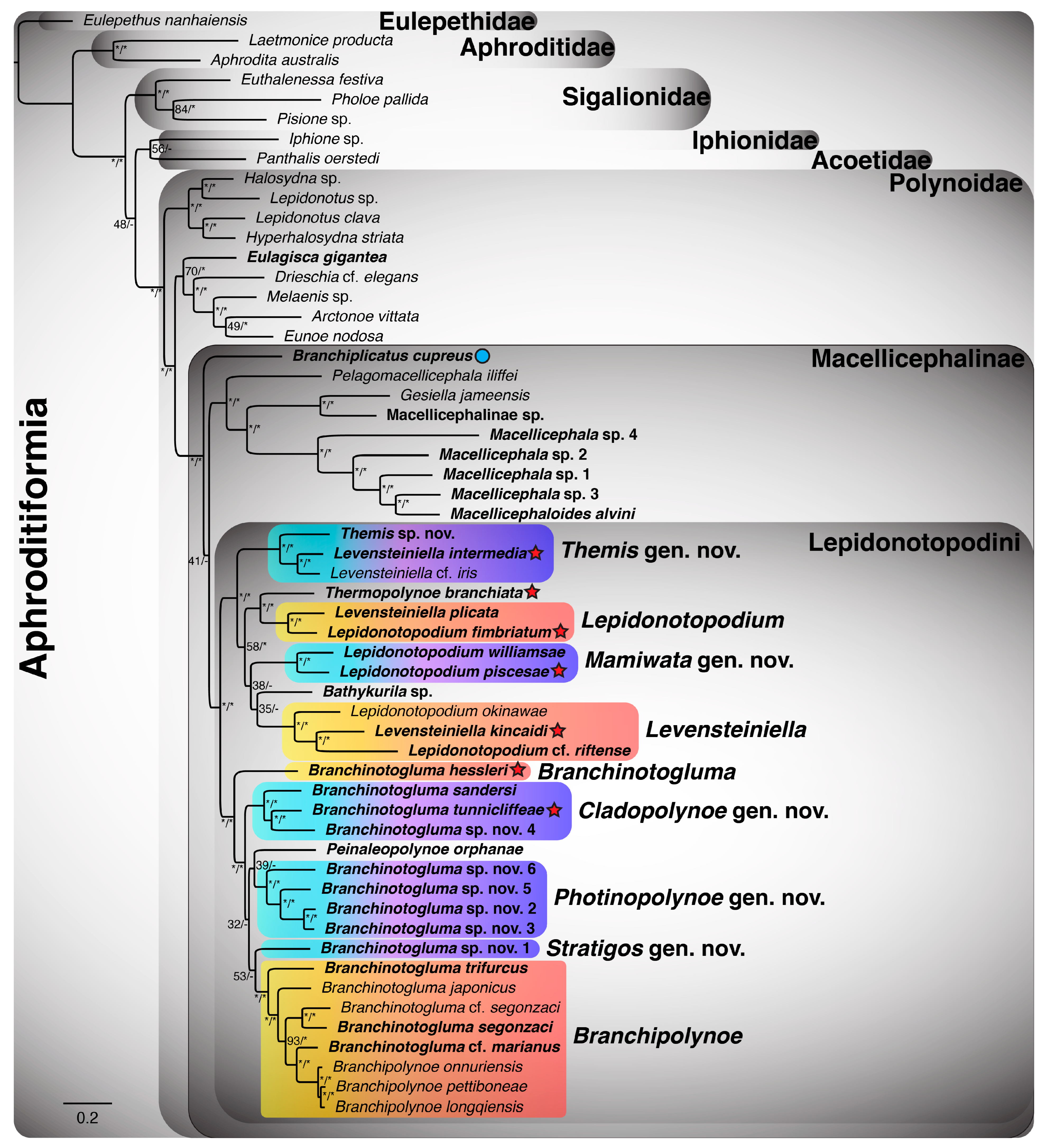 Biology 13 00979 g0a4