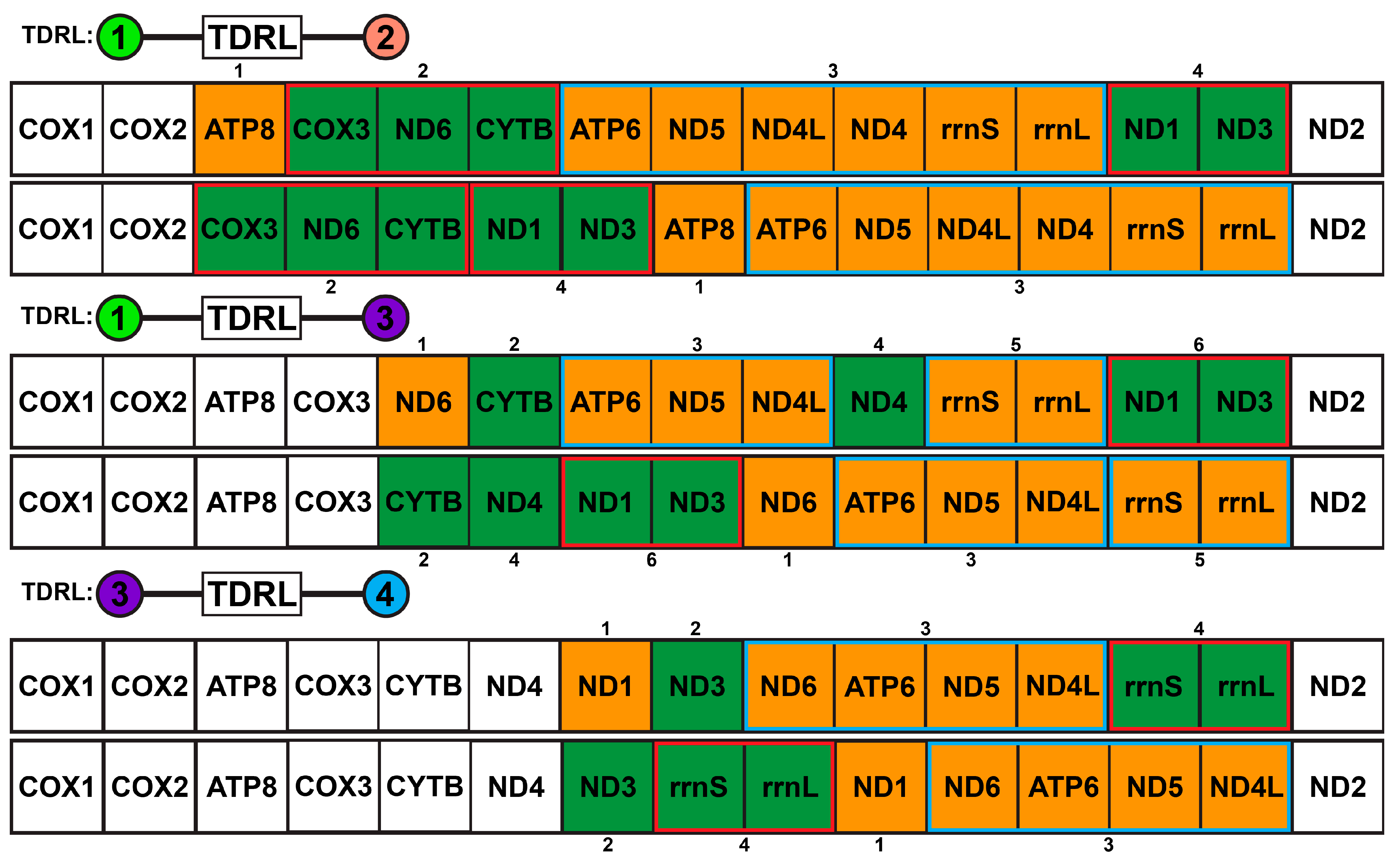 Biology 13 00979 g0a40
