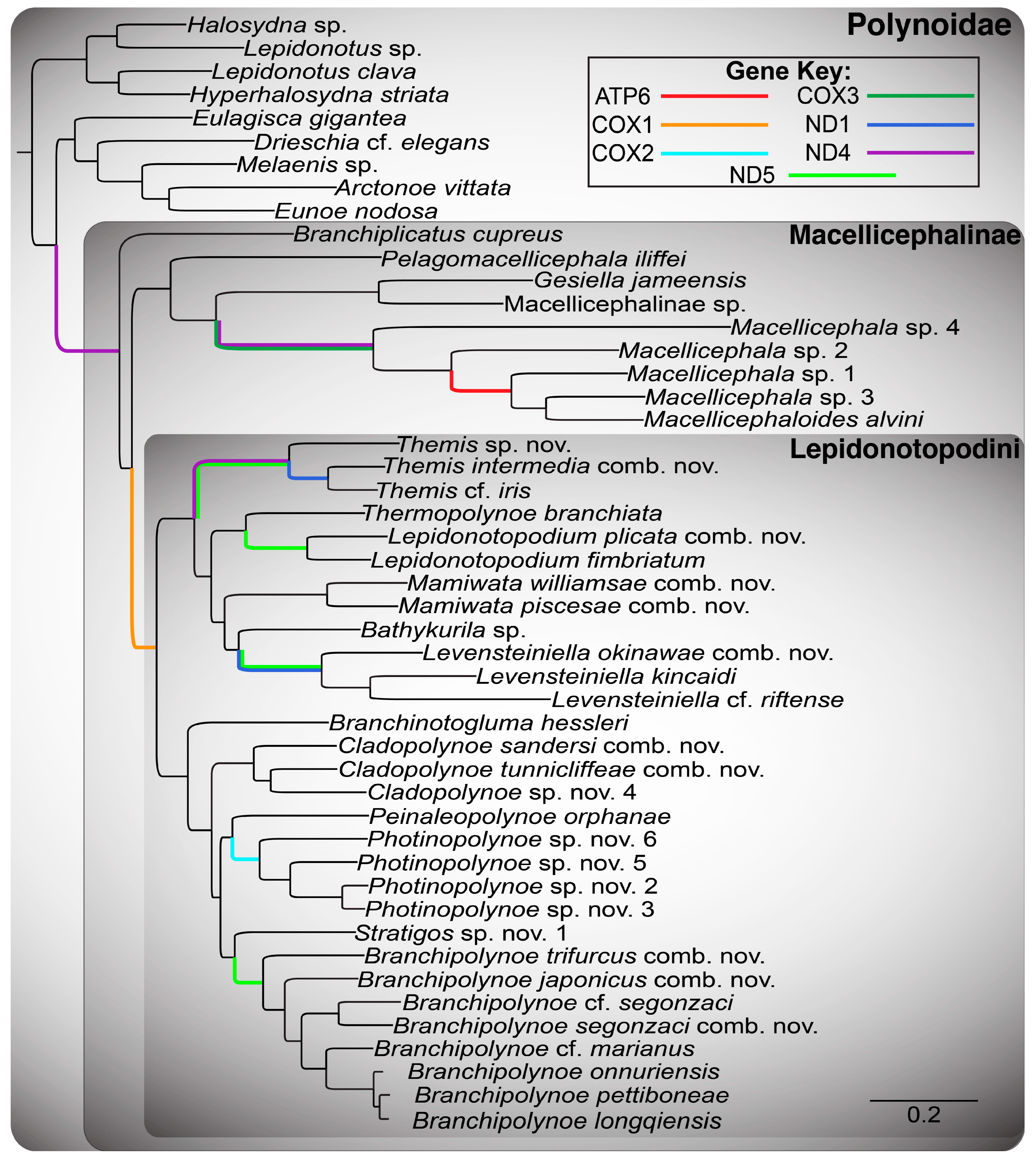 Biology 13 00979 g0a42