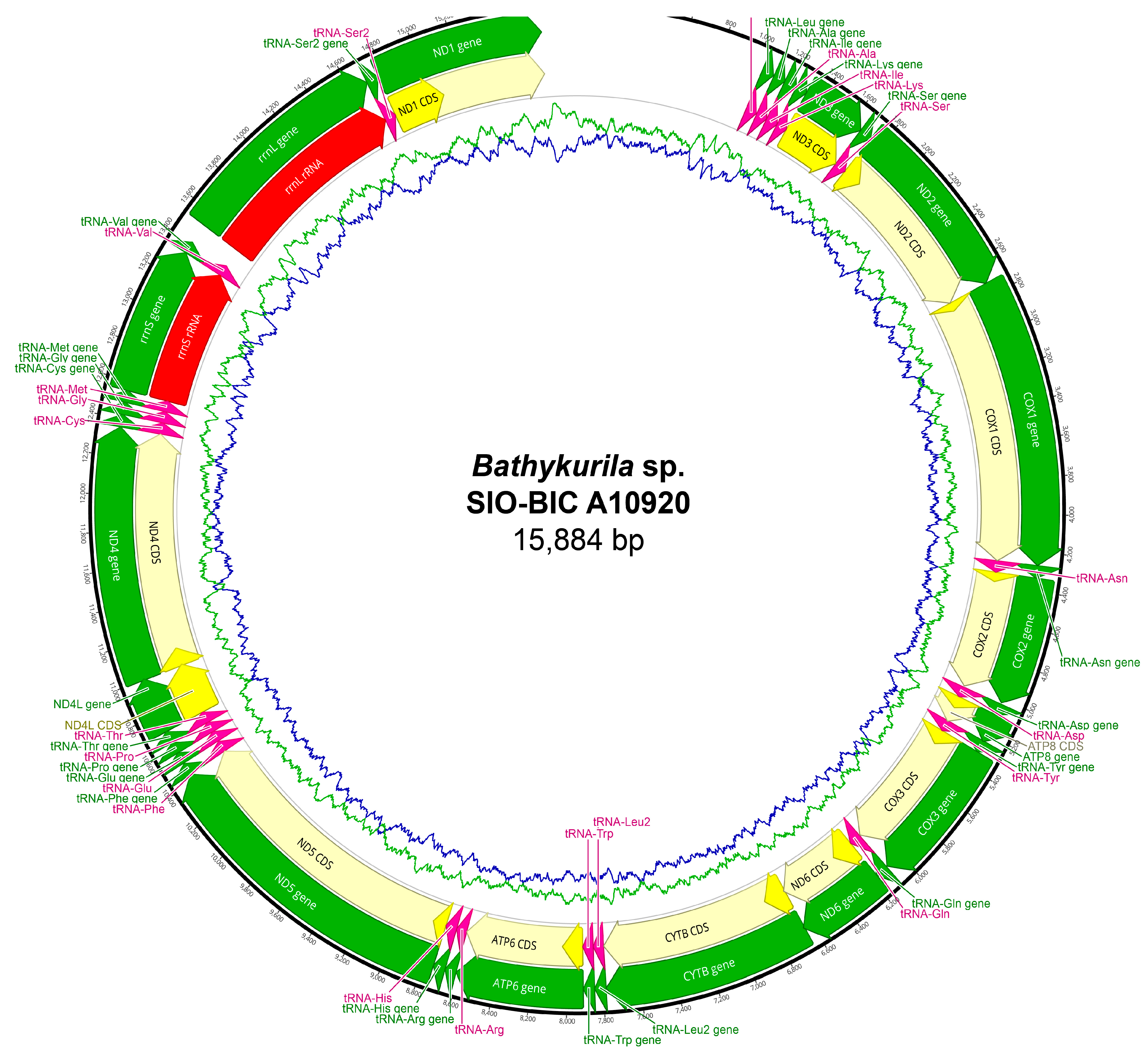 Biology 13 00979 g0a5