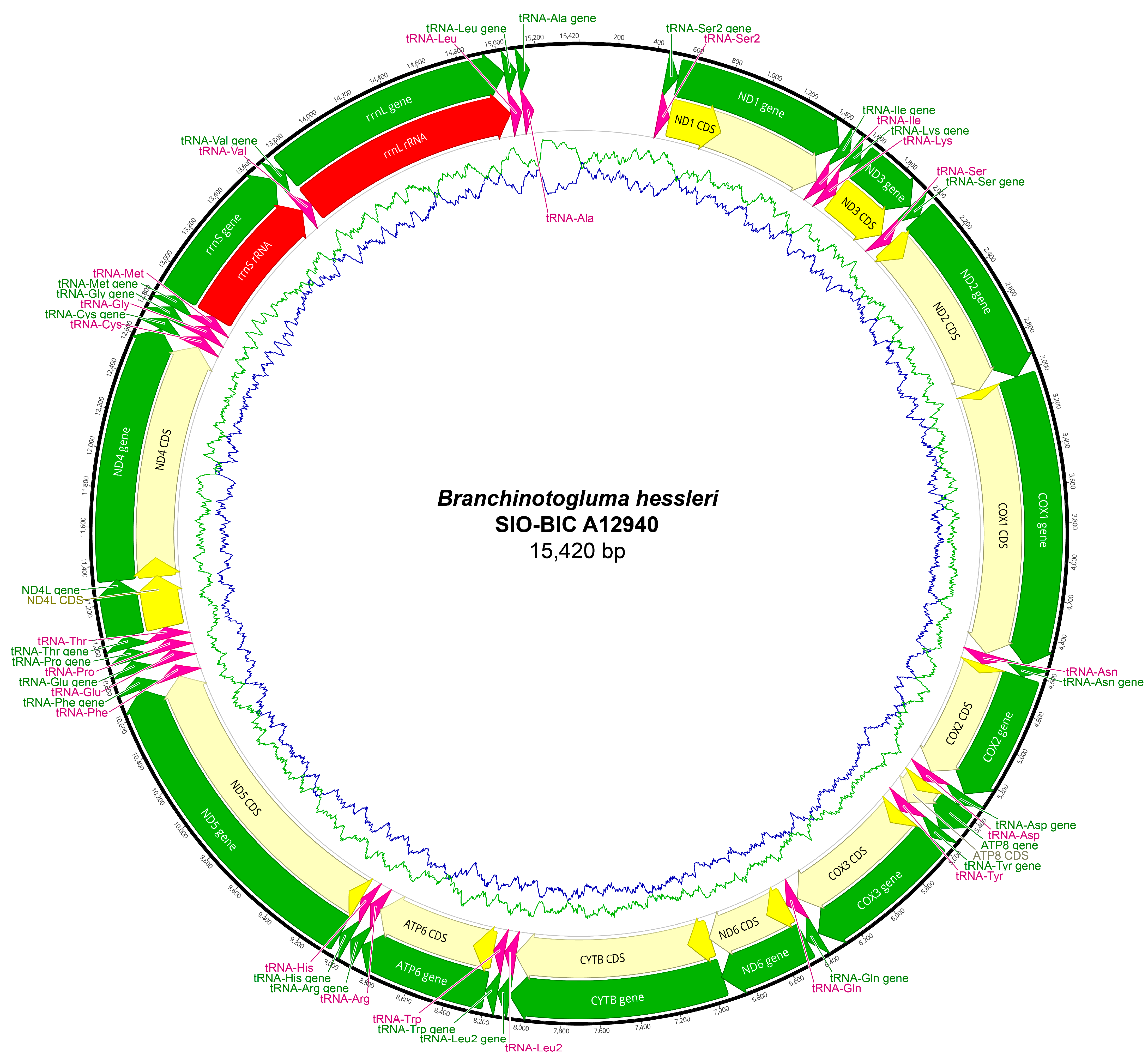 Biology 13 00979 g0a6