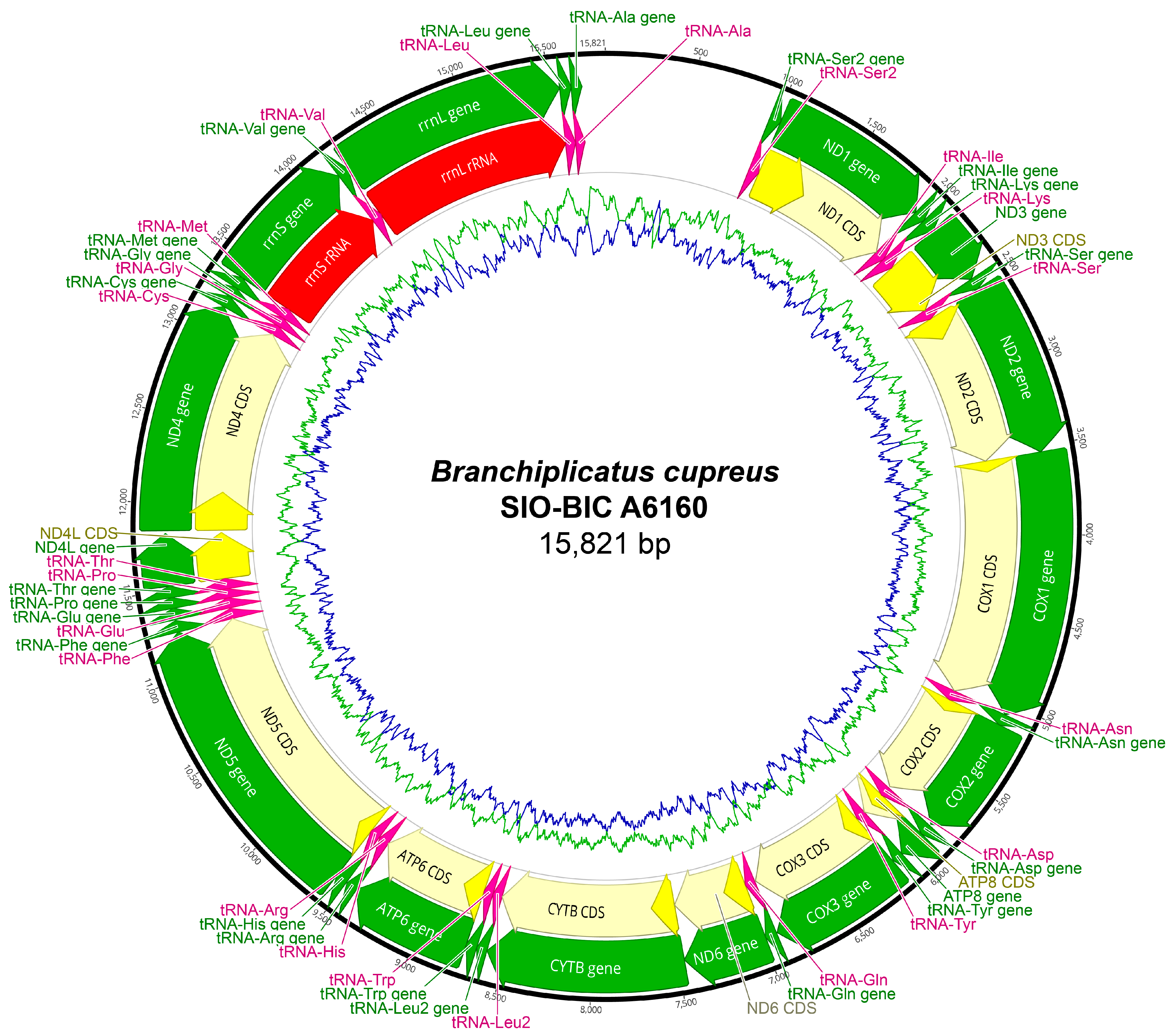 Biology 13 00979 g0a7