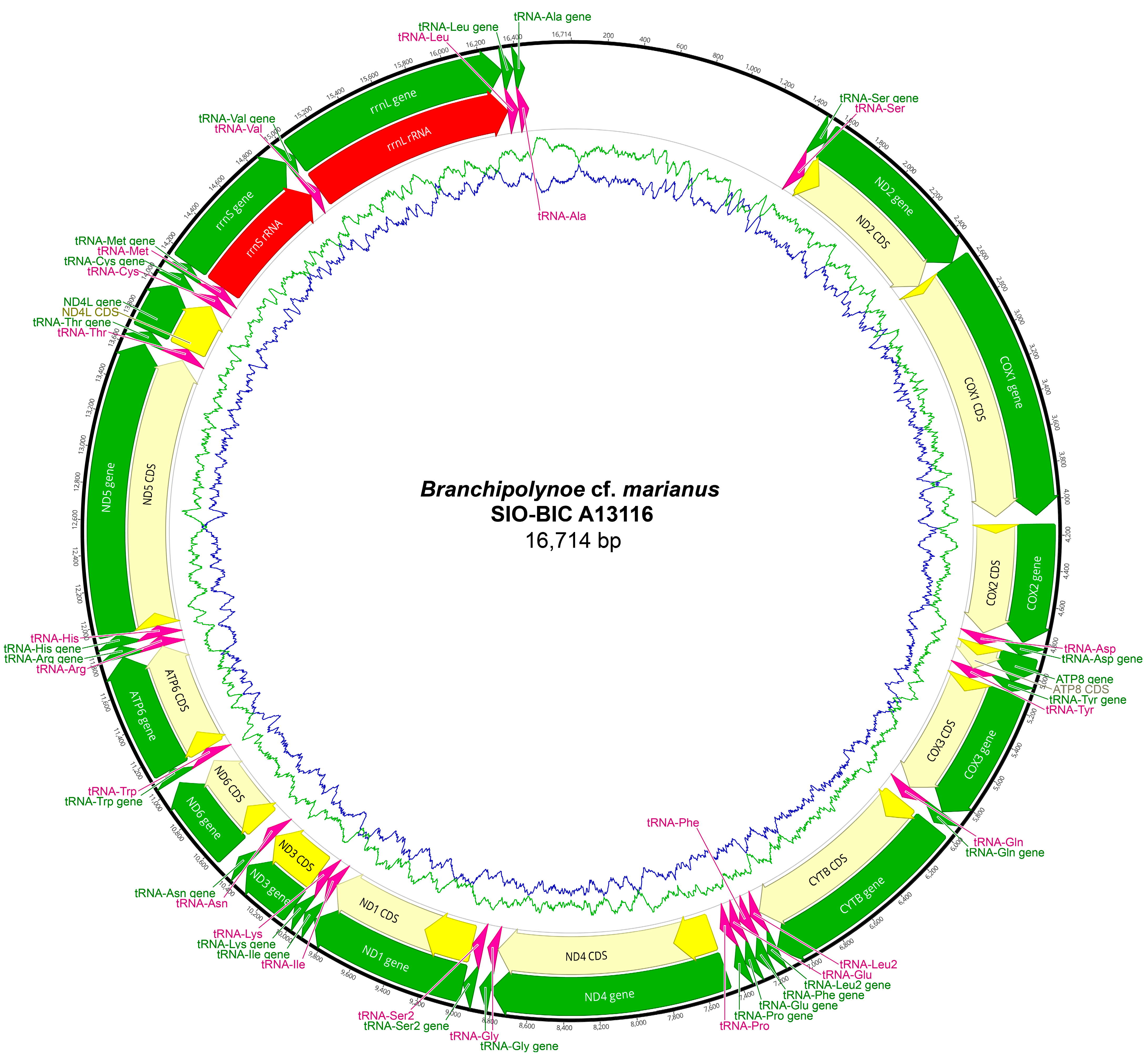 Biology 13 00979 g0a8