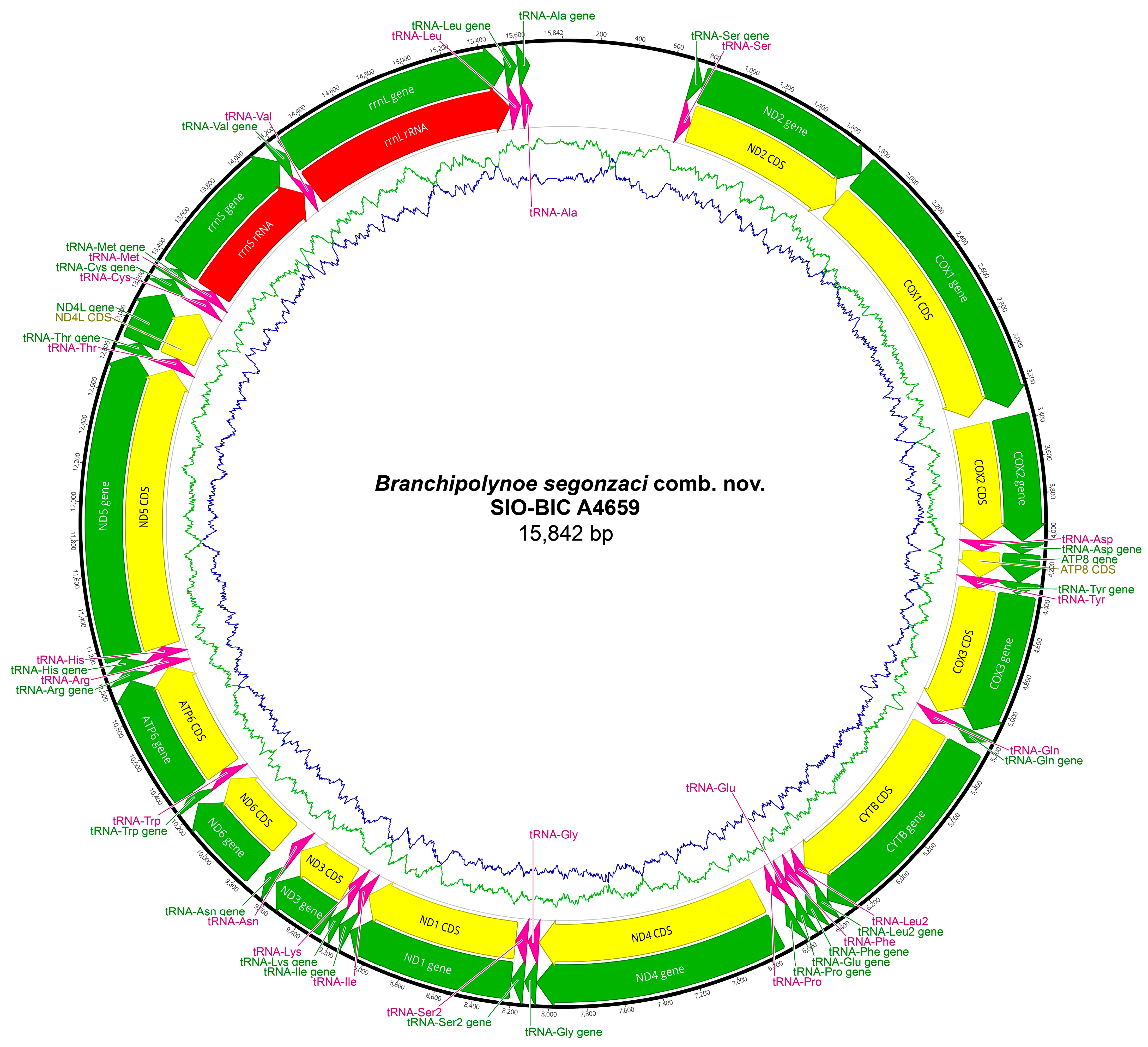 Biology 13 00979 g0a9