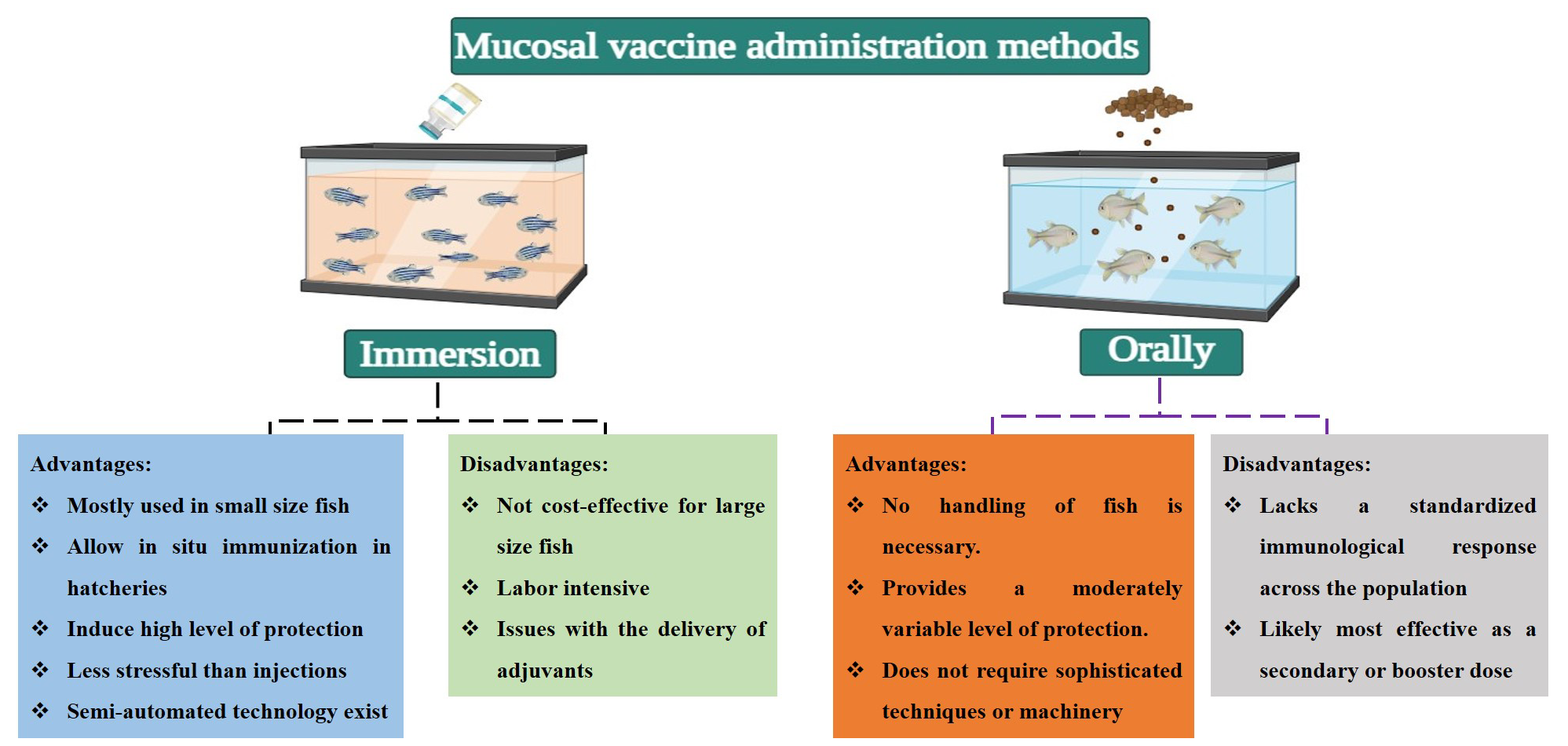 Biology 13 00980 g002