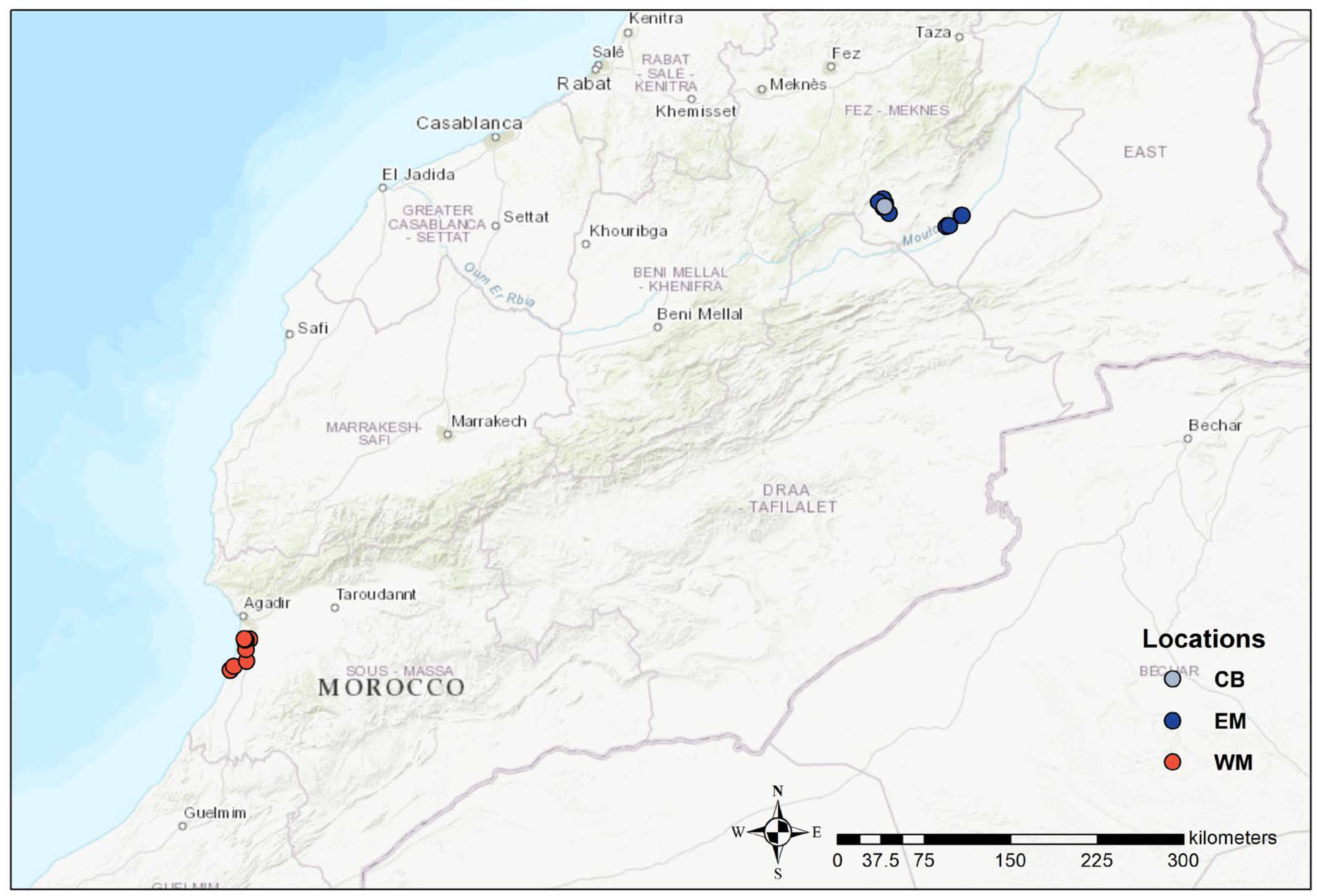 Biology 13 00982 g001