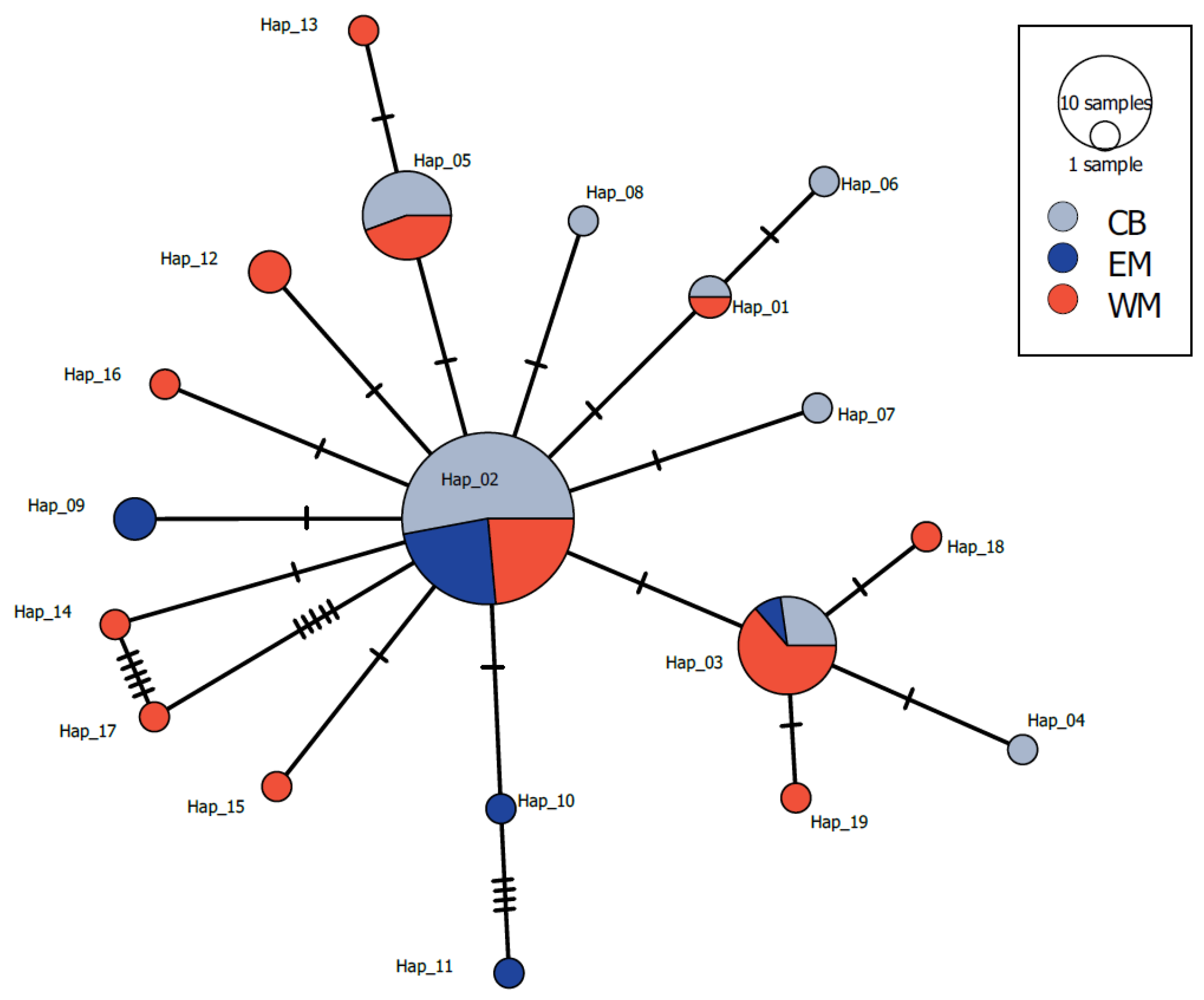 Biology 13 00982 g002