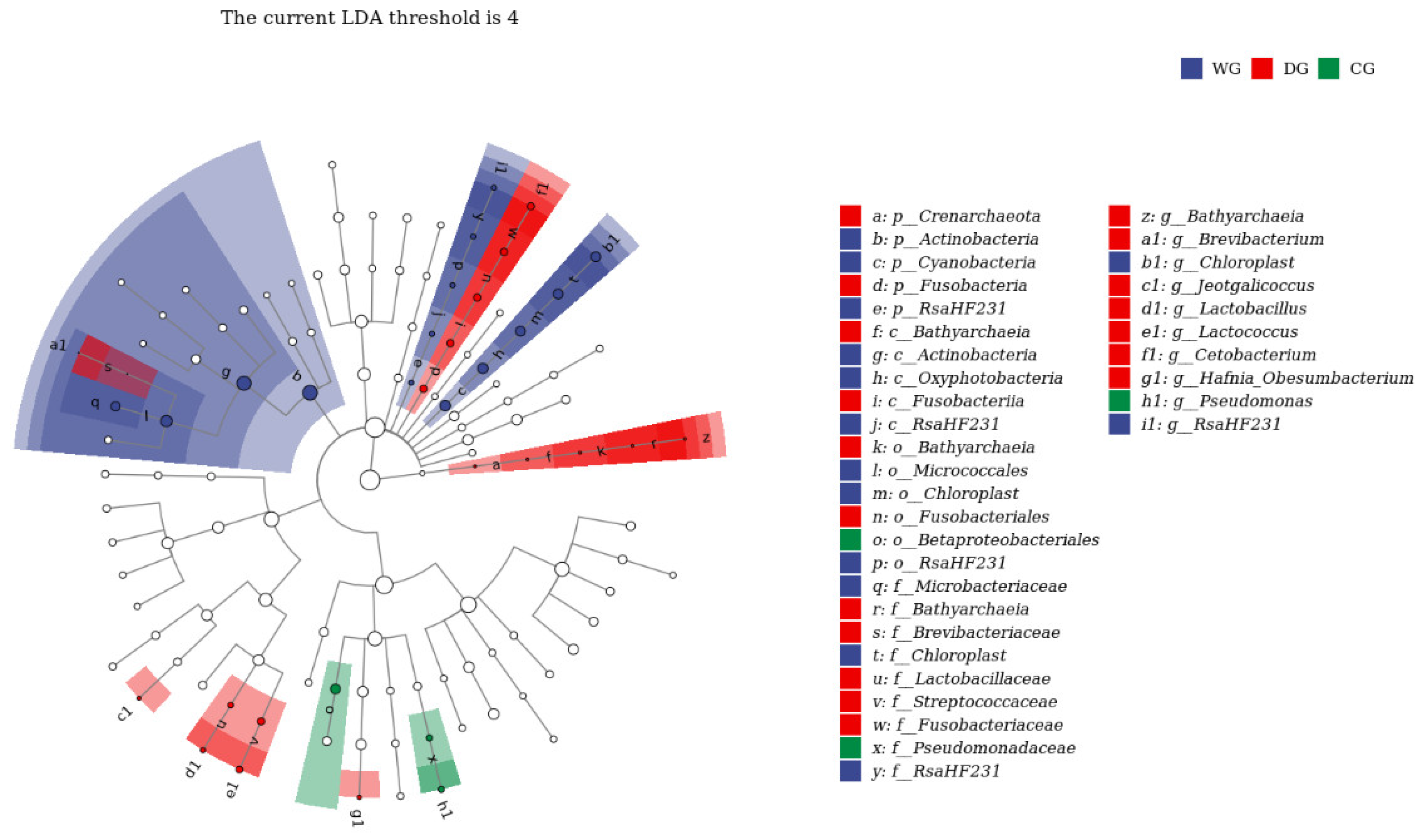 Biology 13 00983 g006