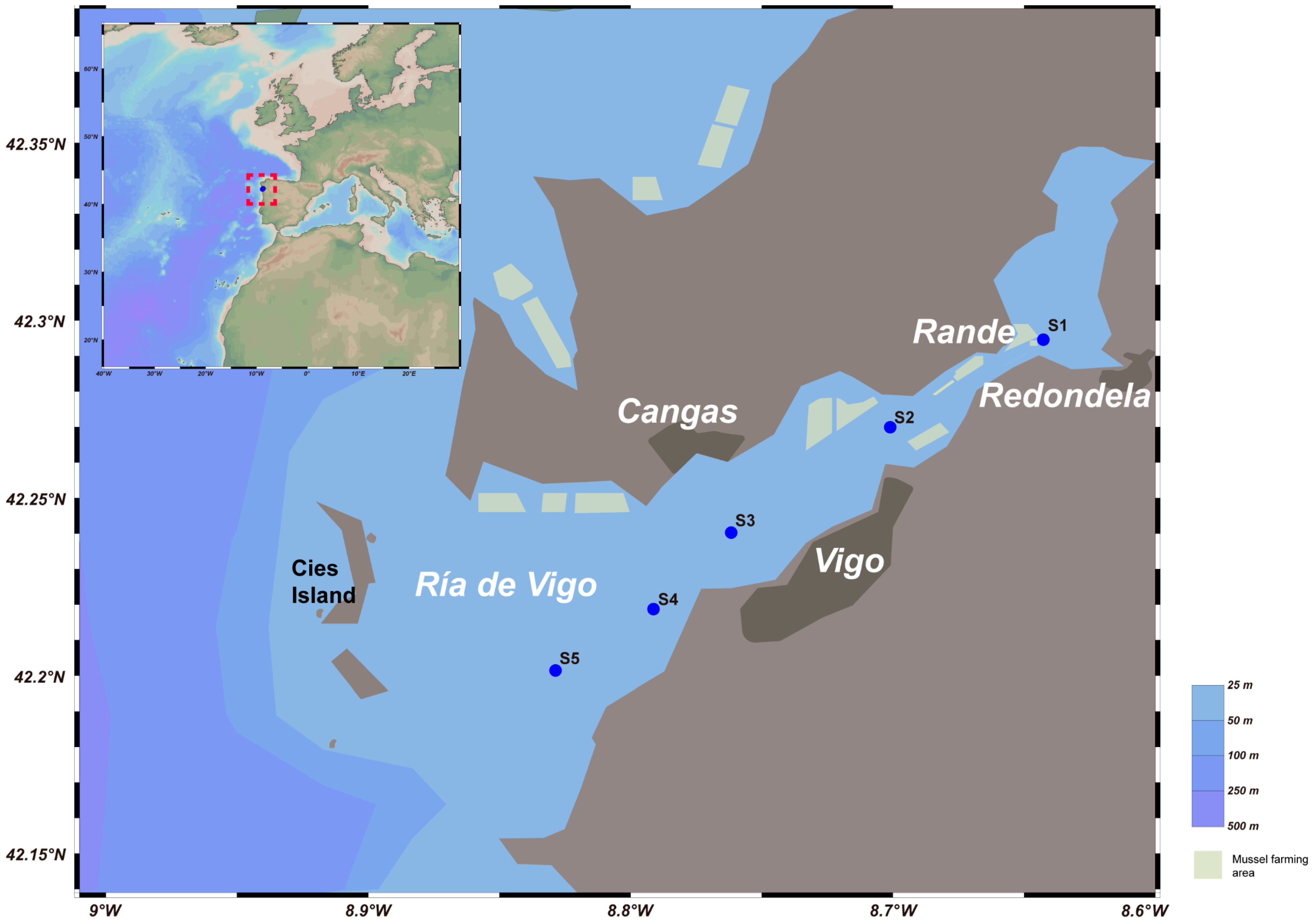 Biology 13 00986 g001