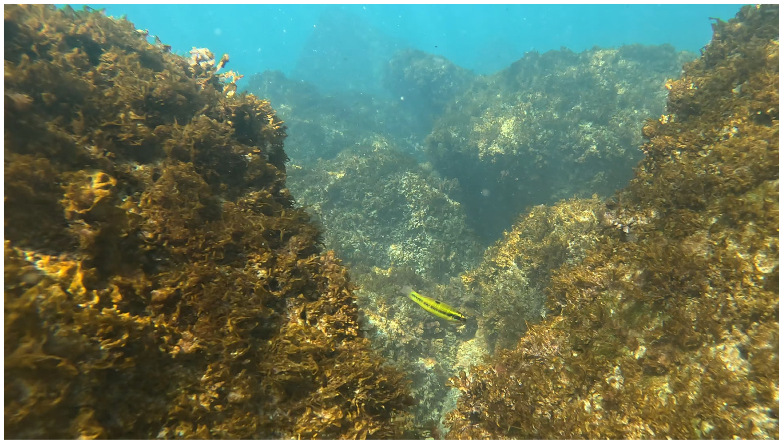 Biology 13 00987 g002