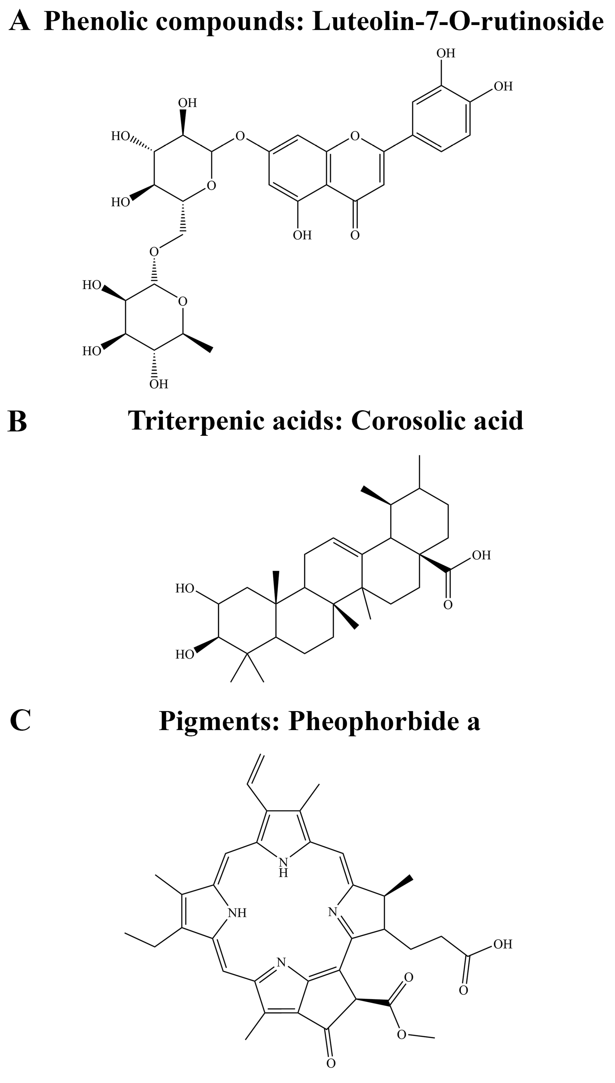 Biology 13 00992 g005
