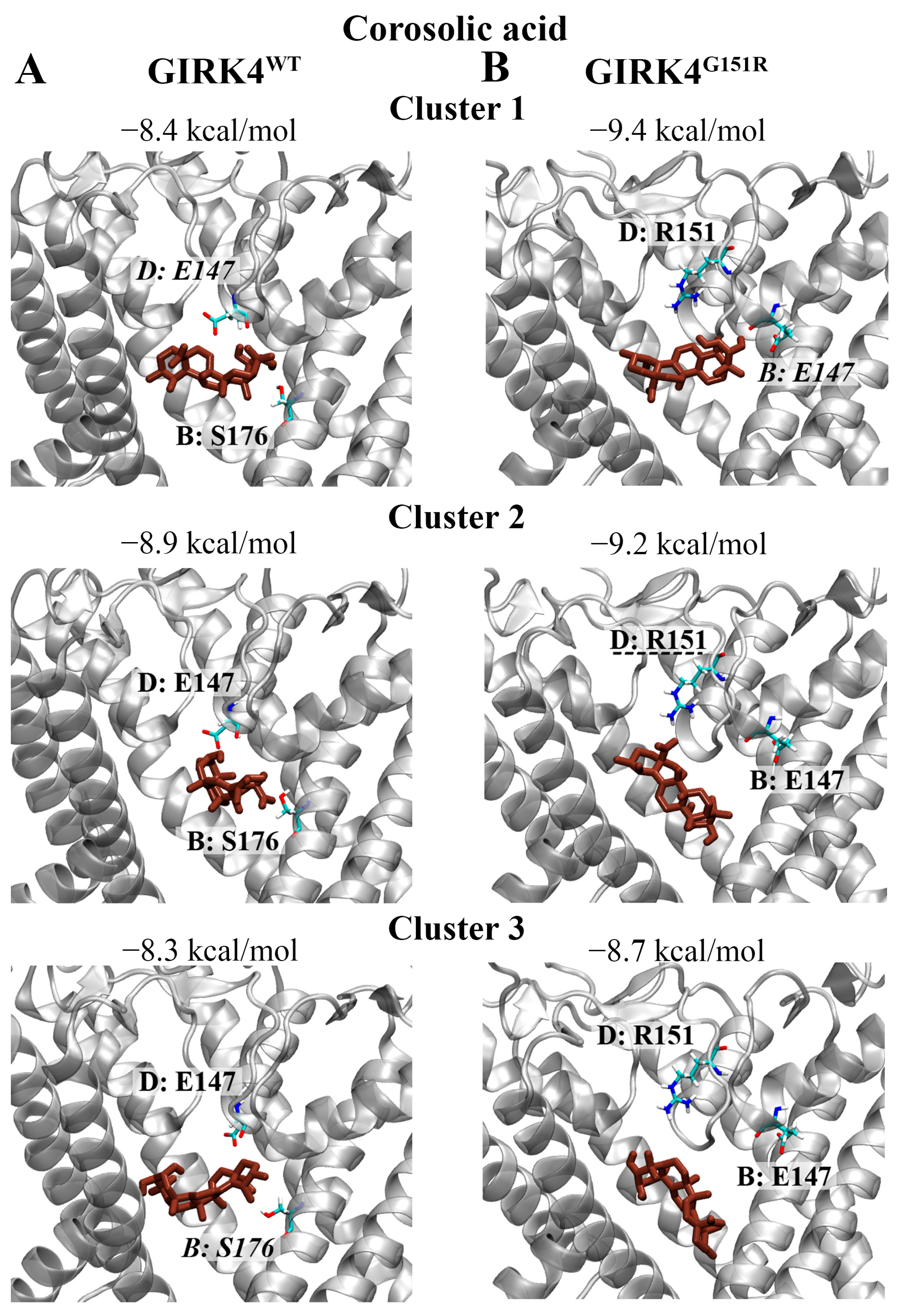 Biology 13 00992 g008