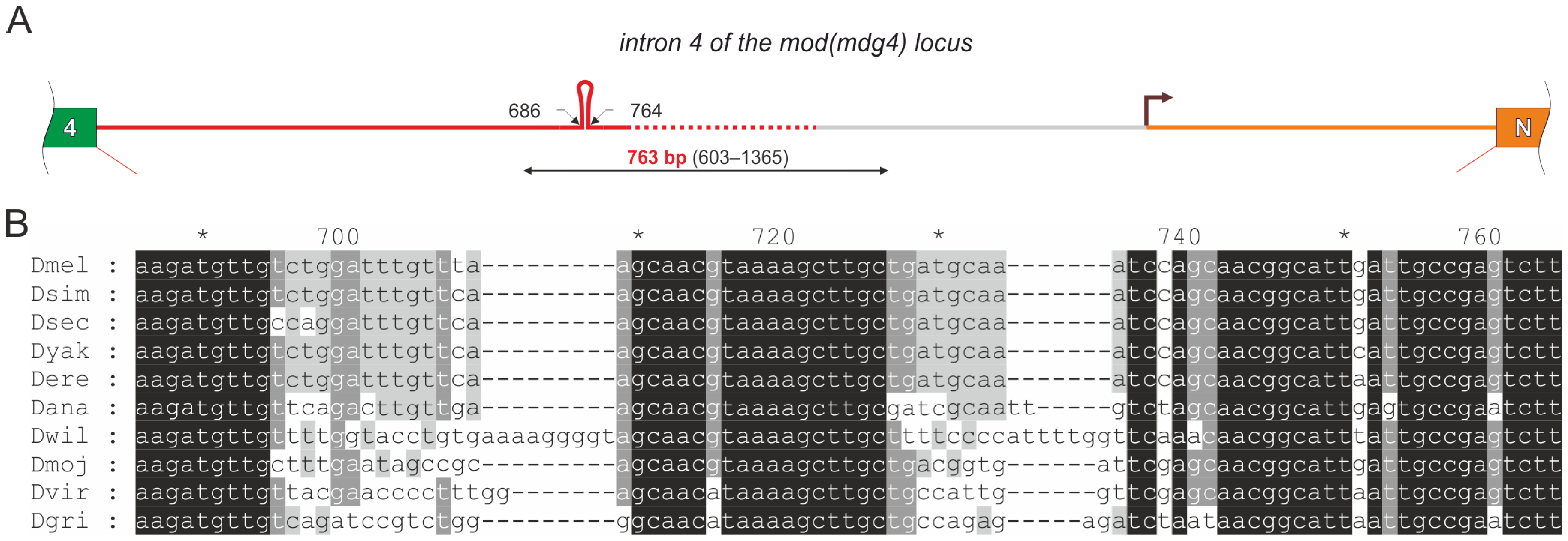 Biology 13 00994 g001