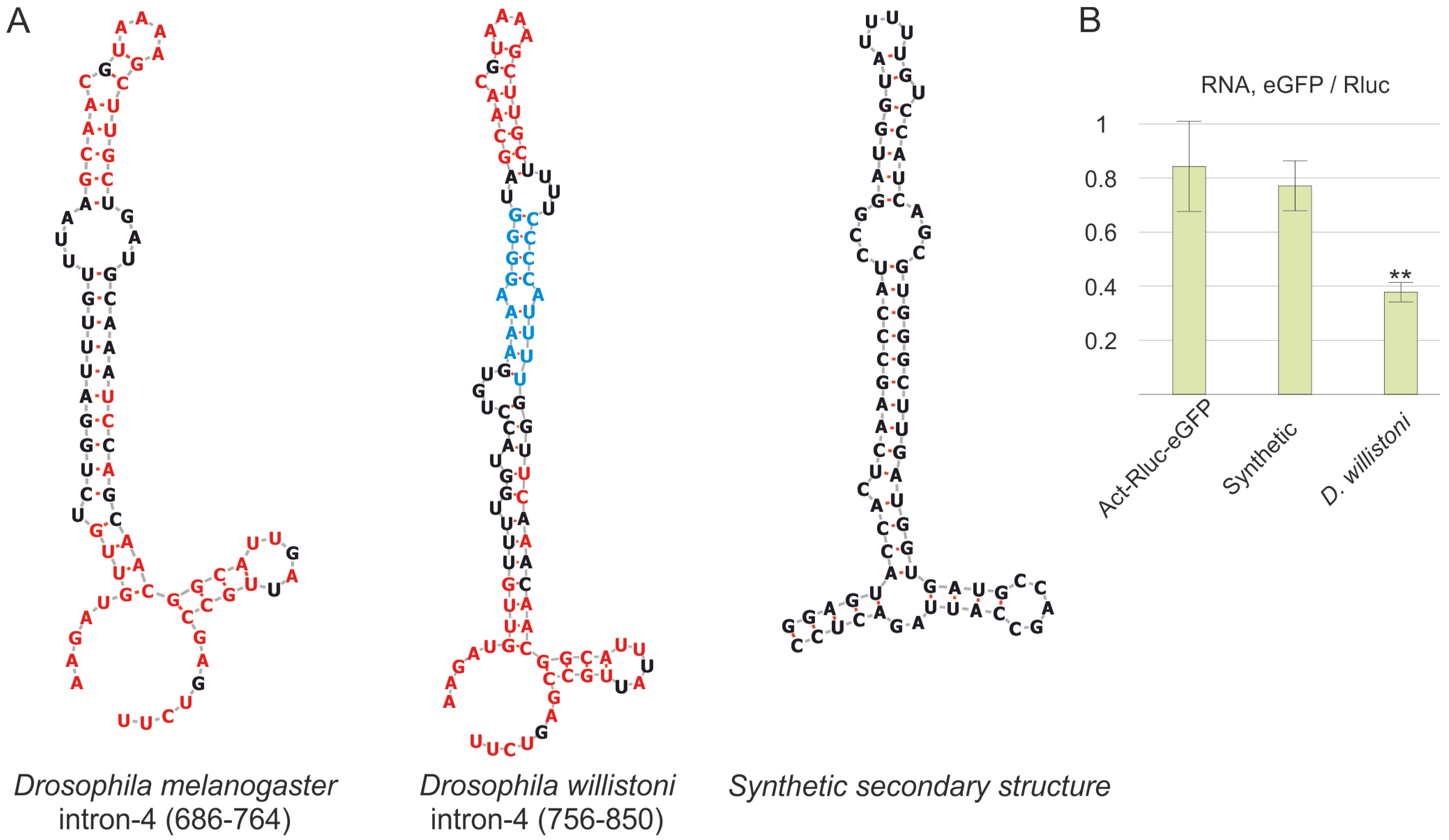 Biology 13 00994 g004