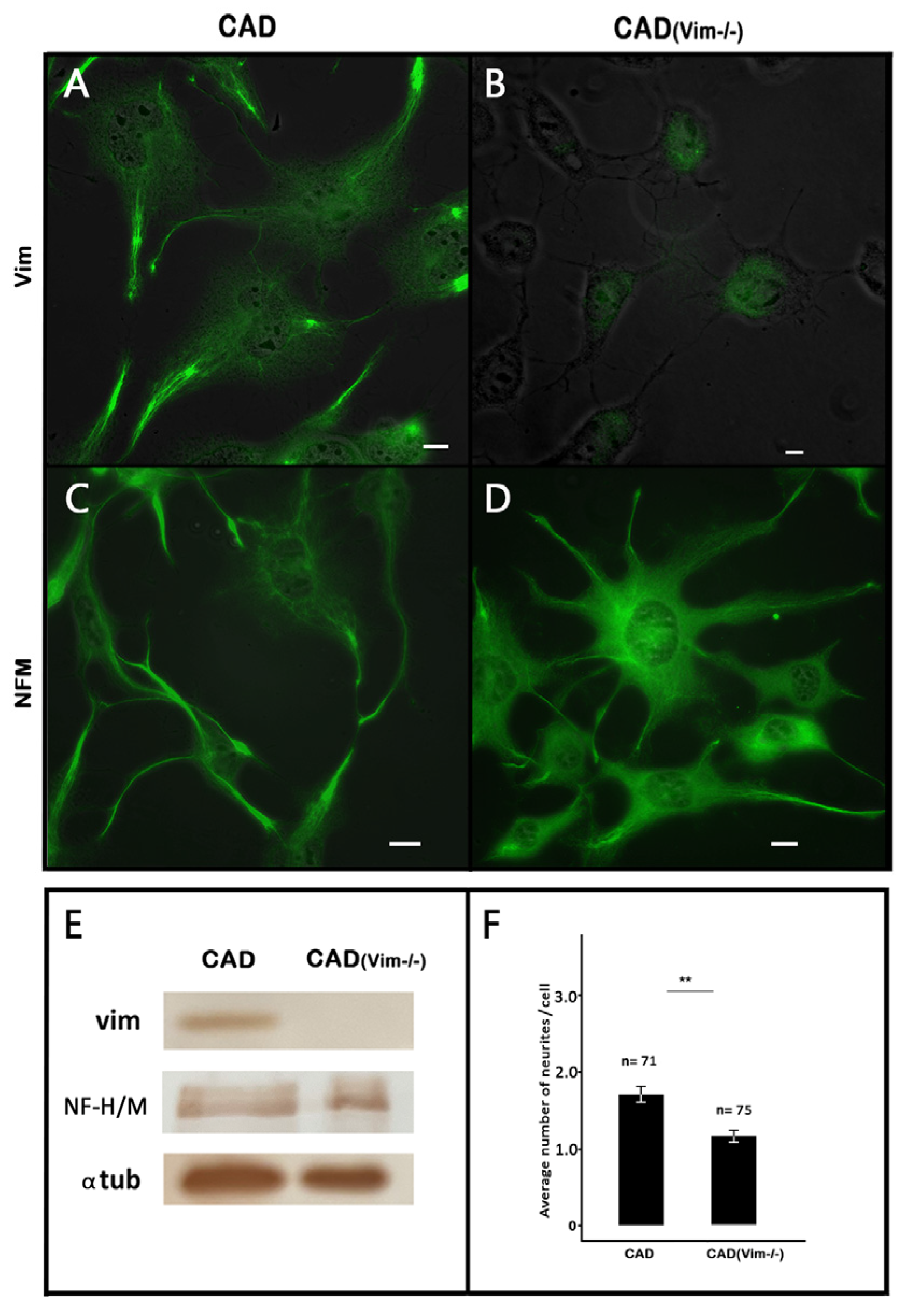 Biology 13 00995 g001