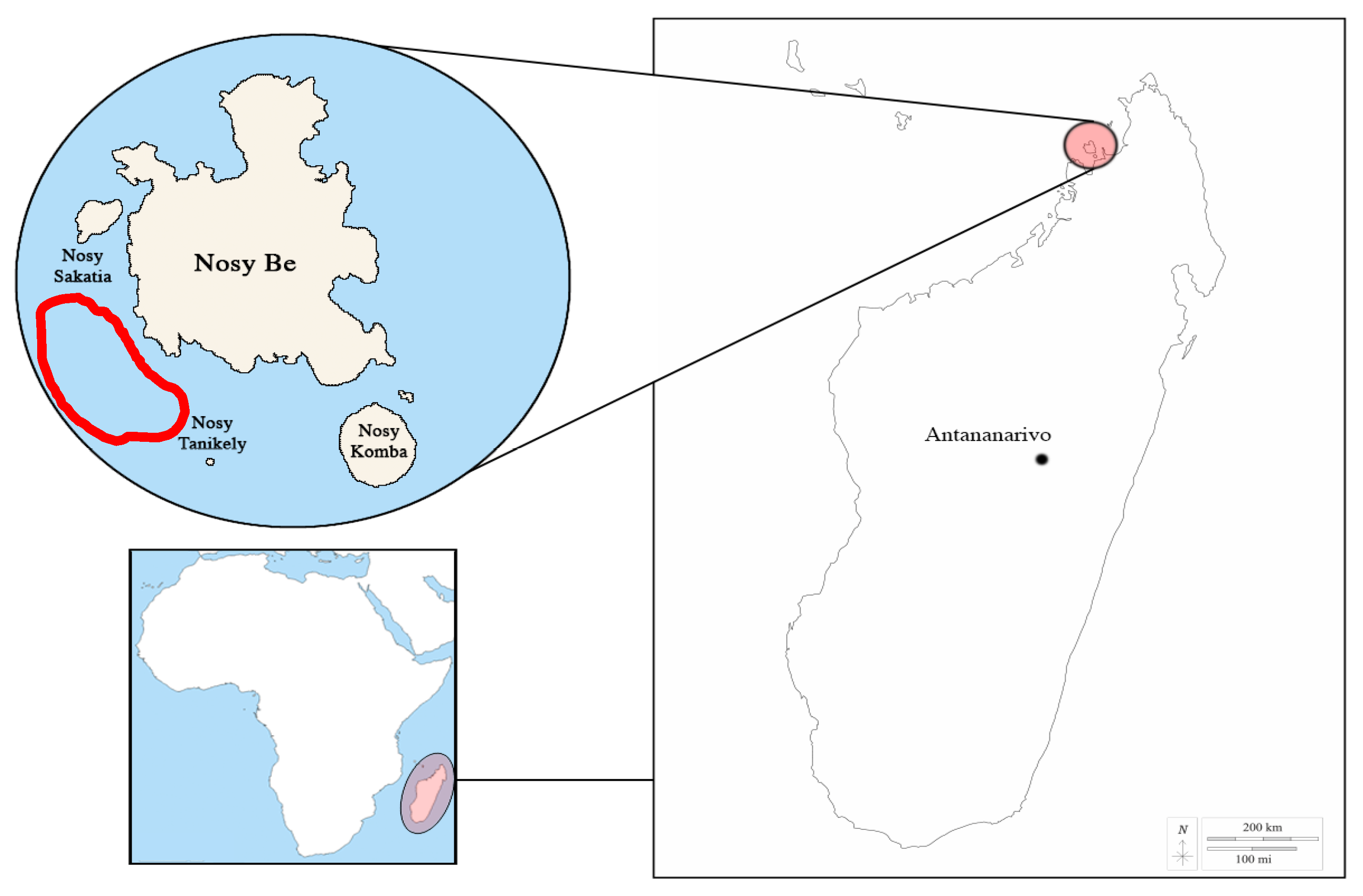 Biology 13 00996 g001