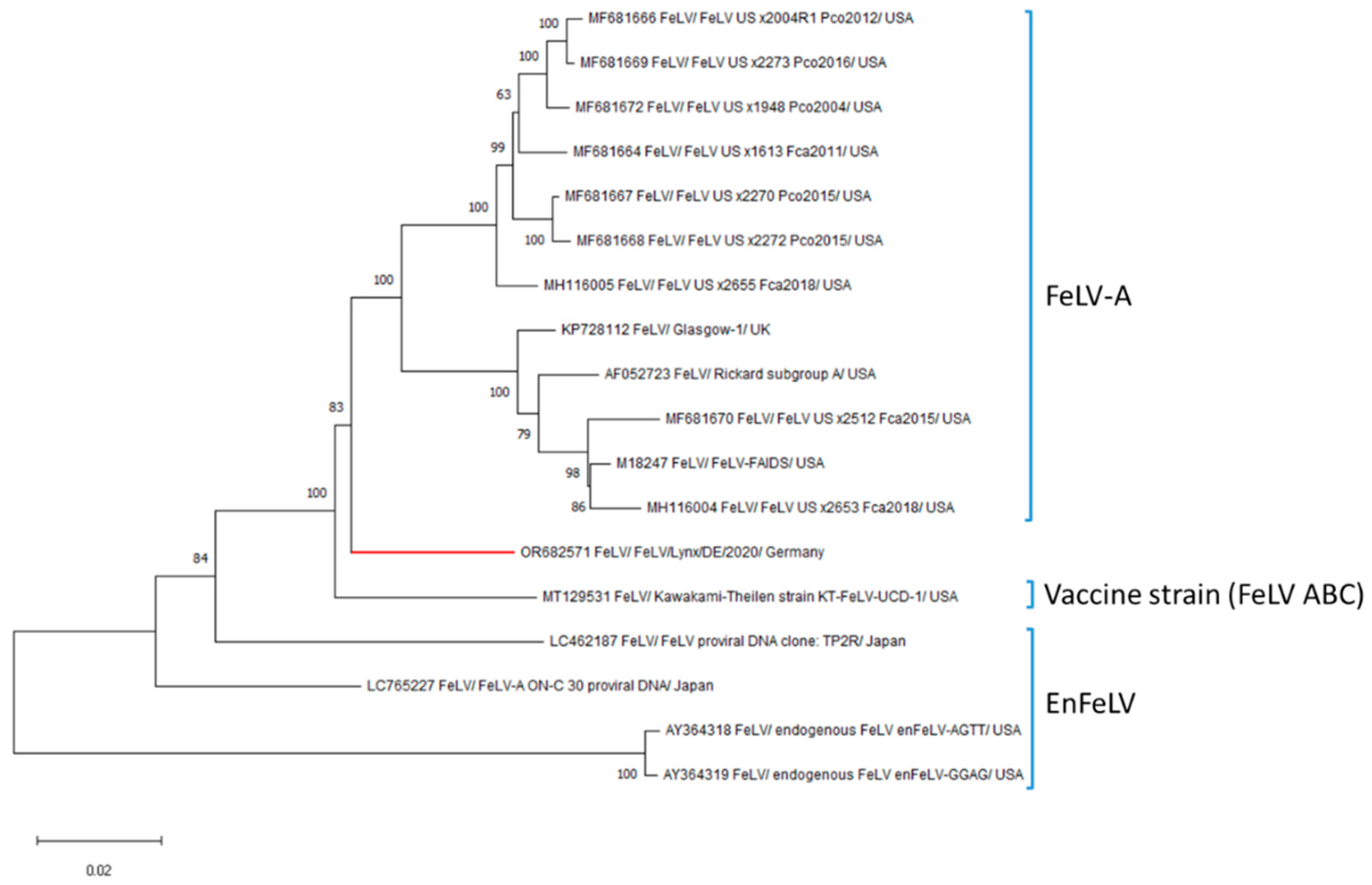 Biology 13 00997 g003