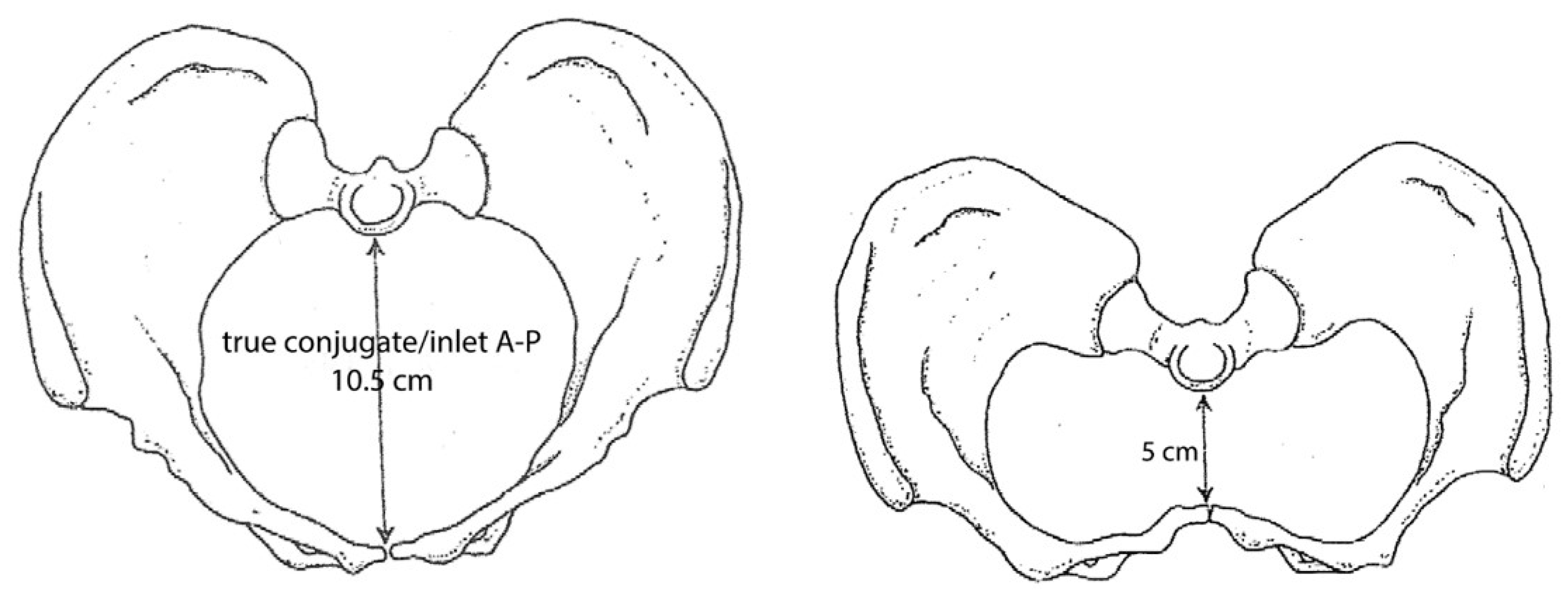 Biology 13 01001 g002