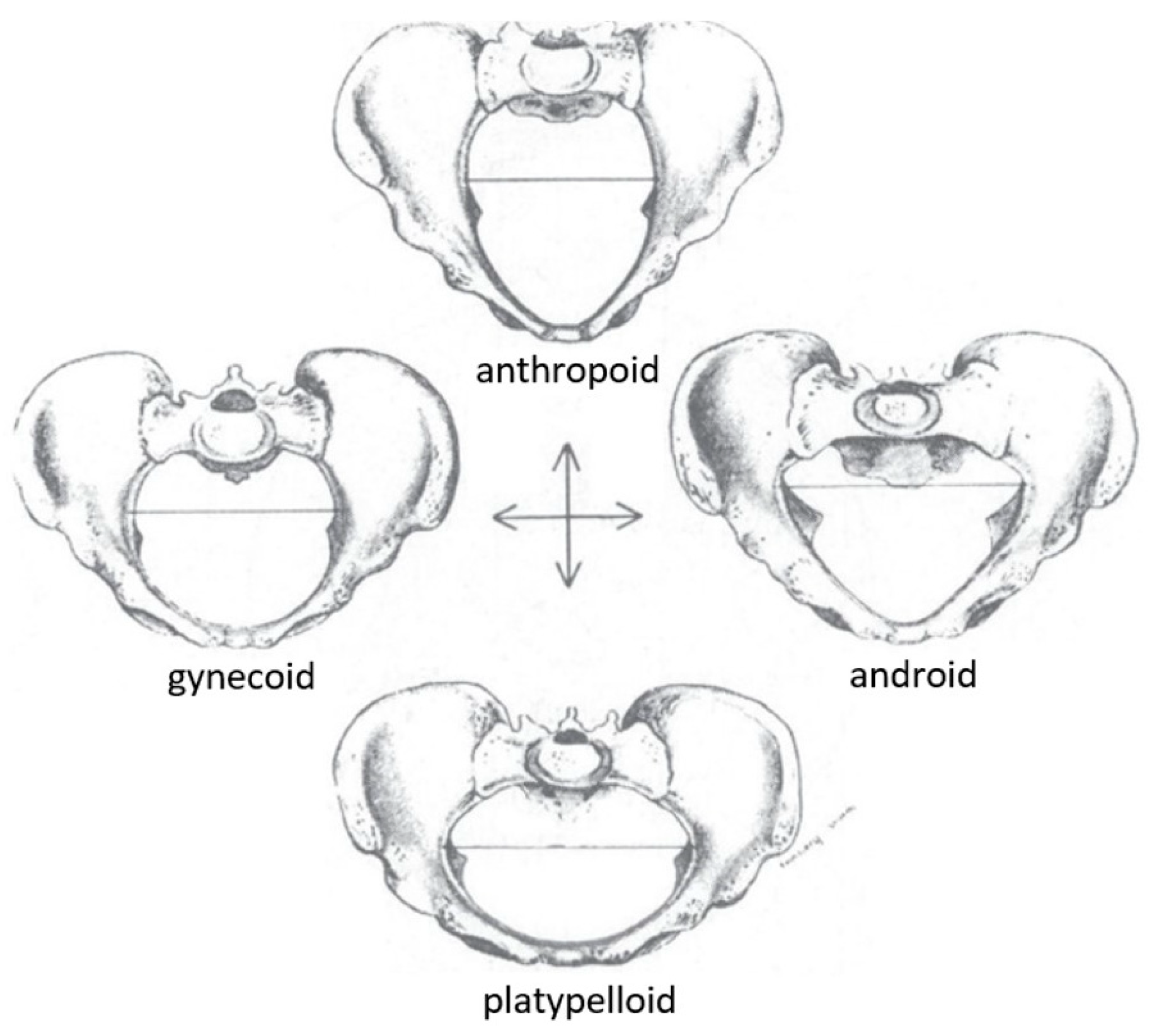 Biology 13 01001 g004