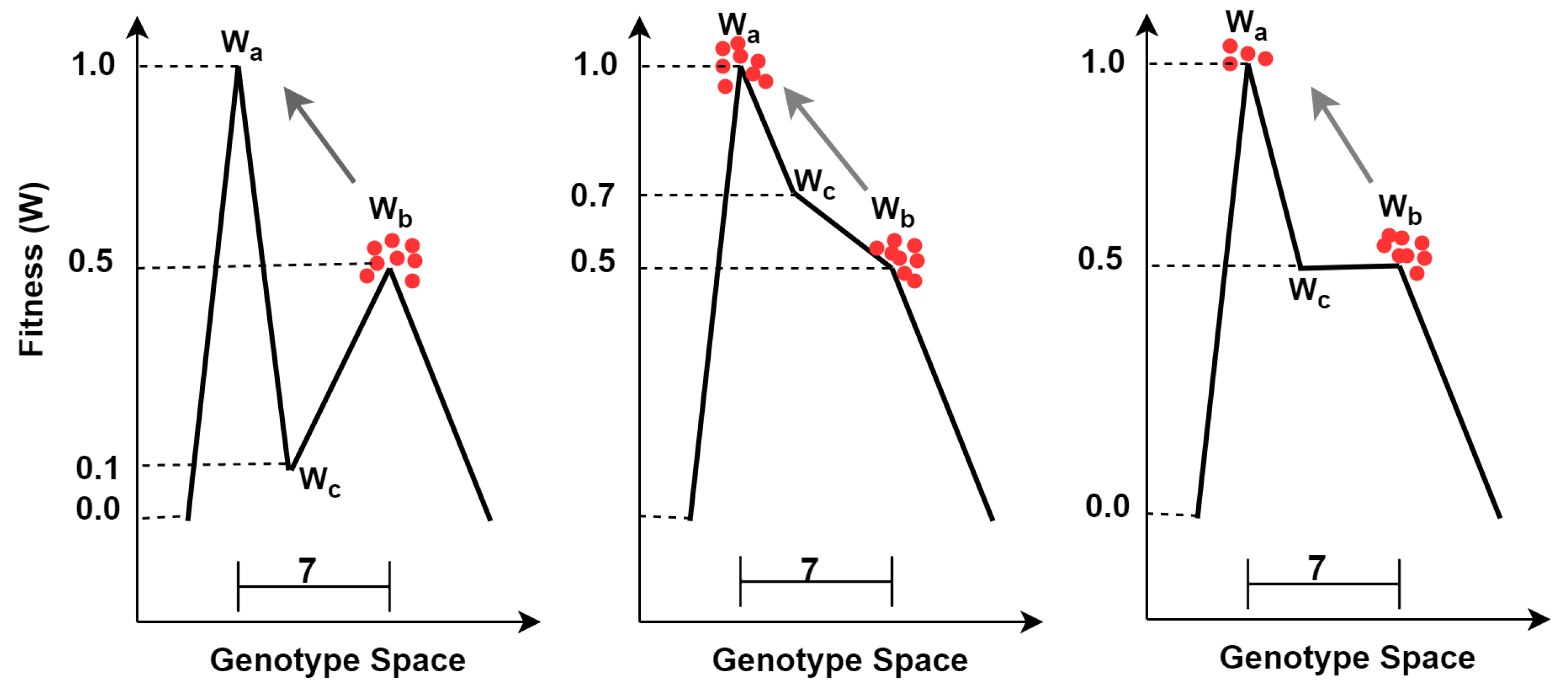 Biology 13 01003 g003