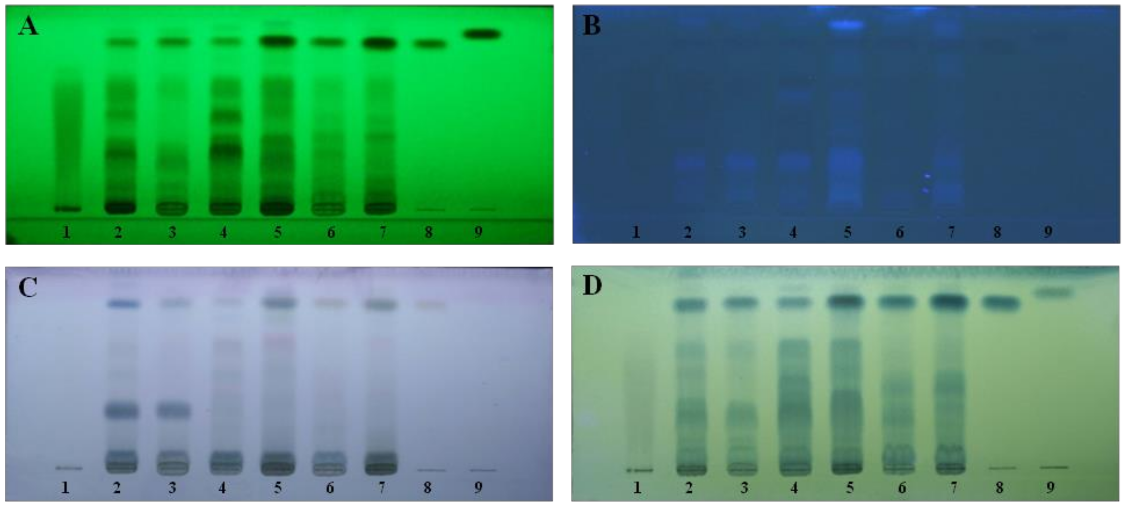 Biology 13 01005 g001