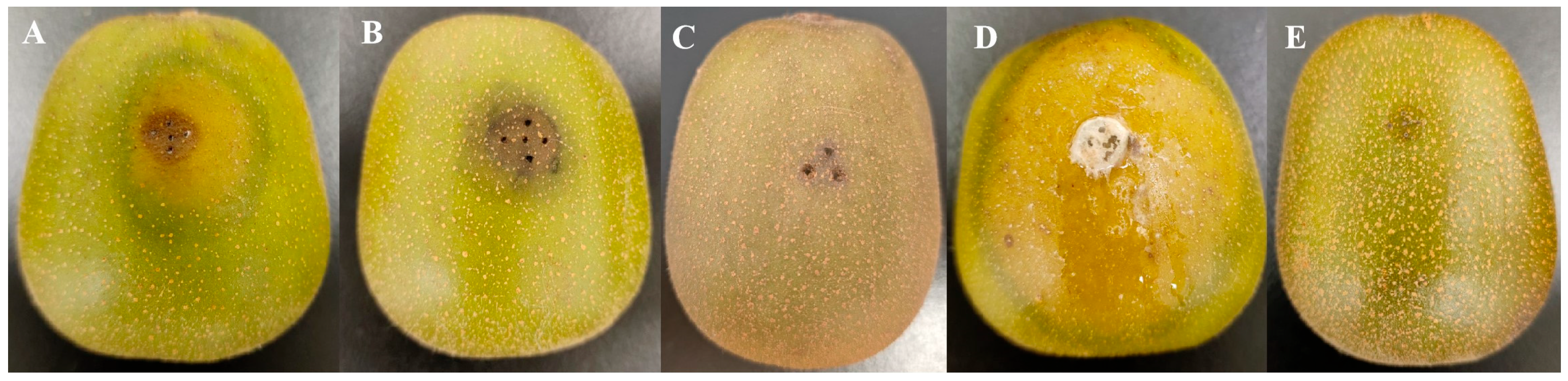Biology 13 01006 g001