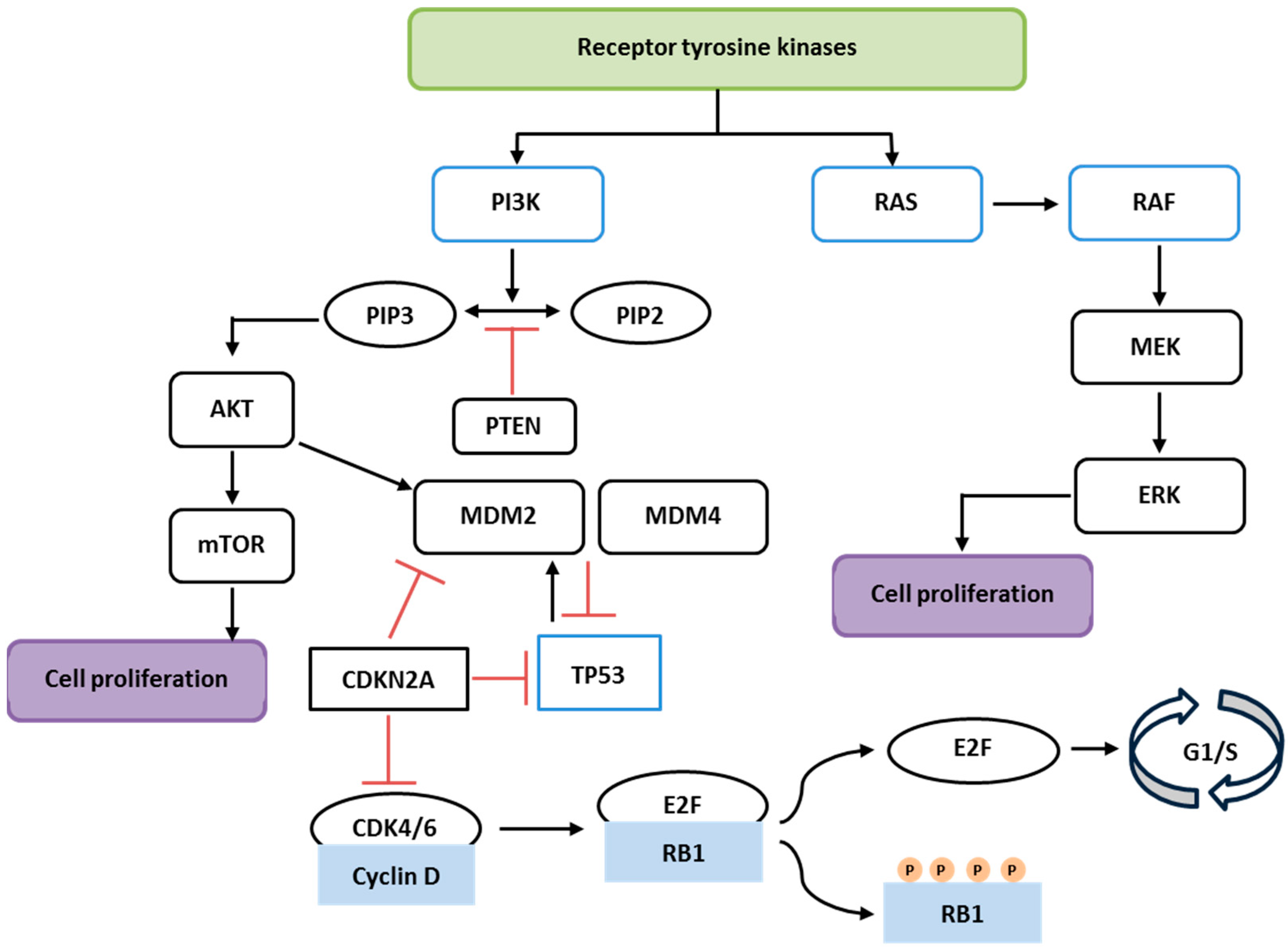 Biology 13 01007 g001