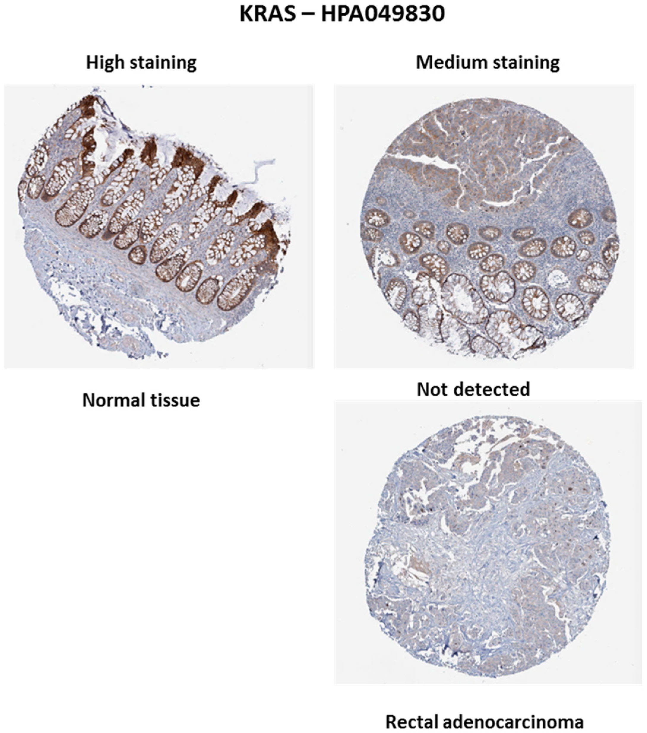 Biology 13 01007 g004