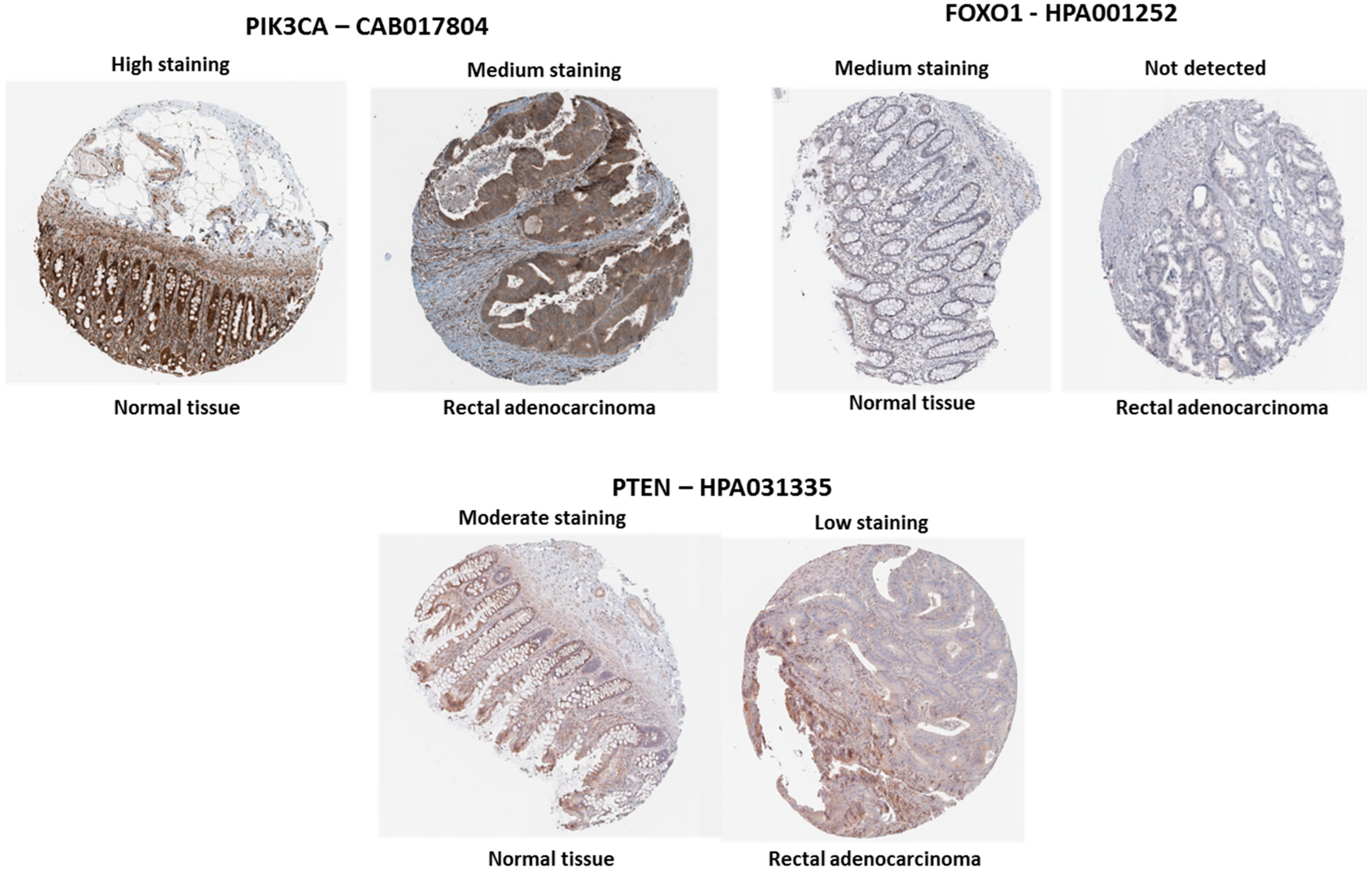 Biology 13 01007 g005