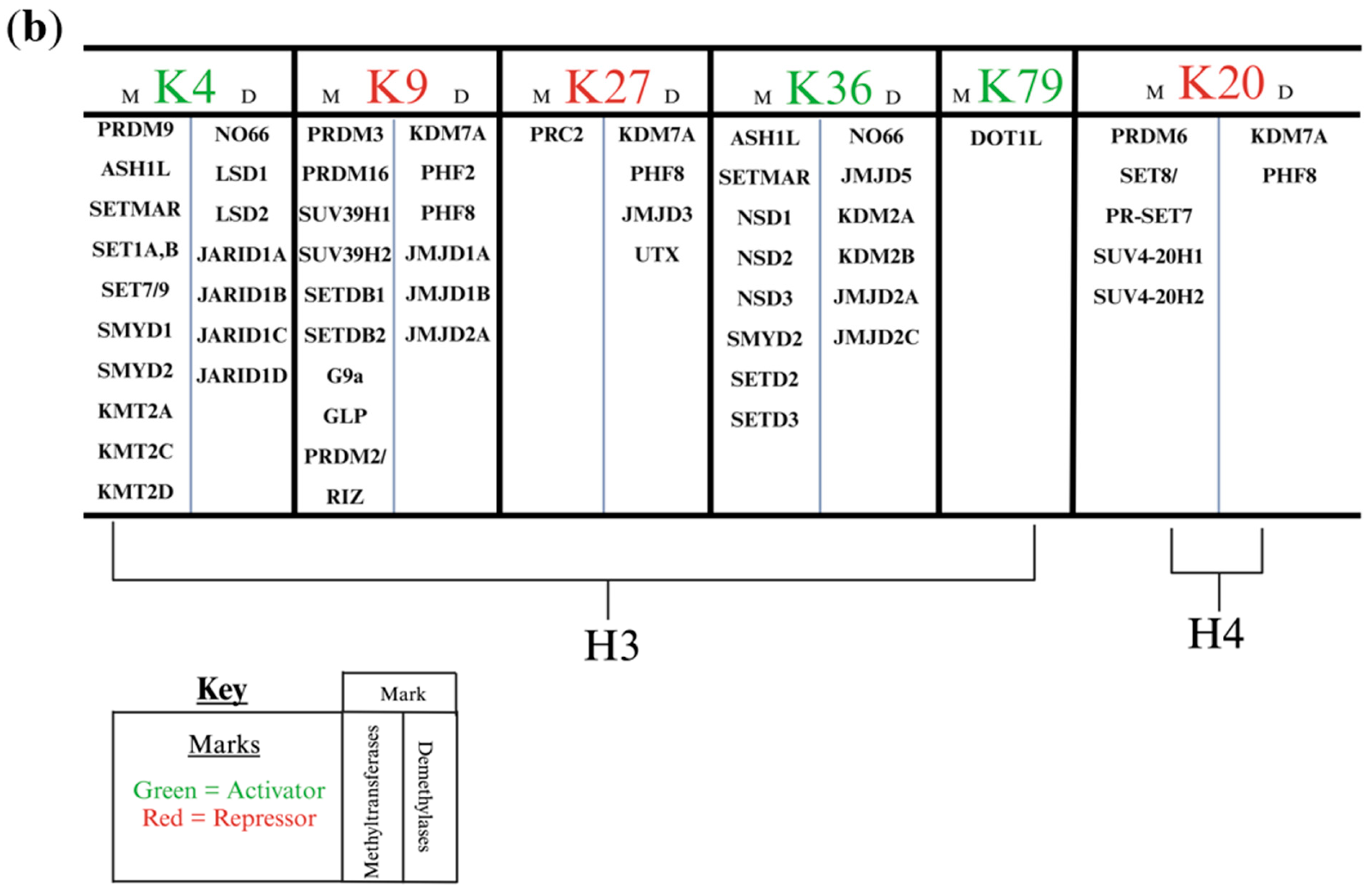 Biology 13 01008 g001b Biology 13 01008 g001b