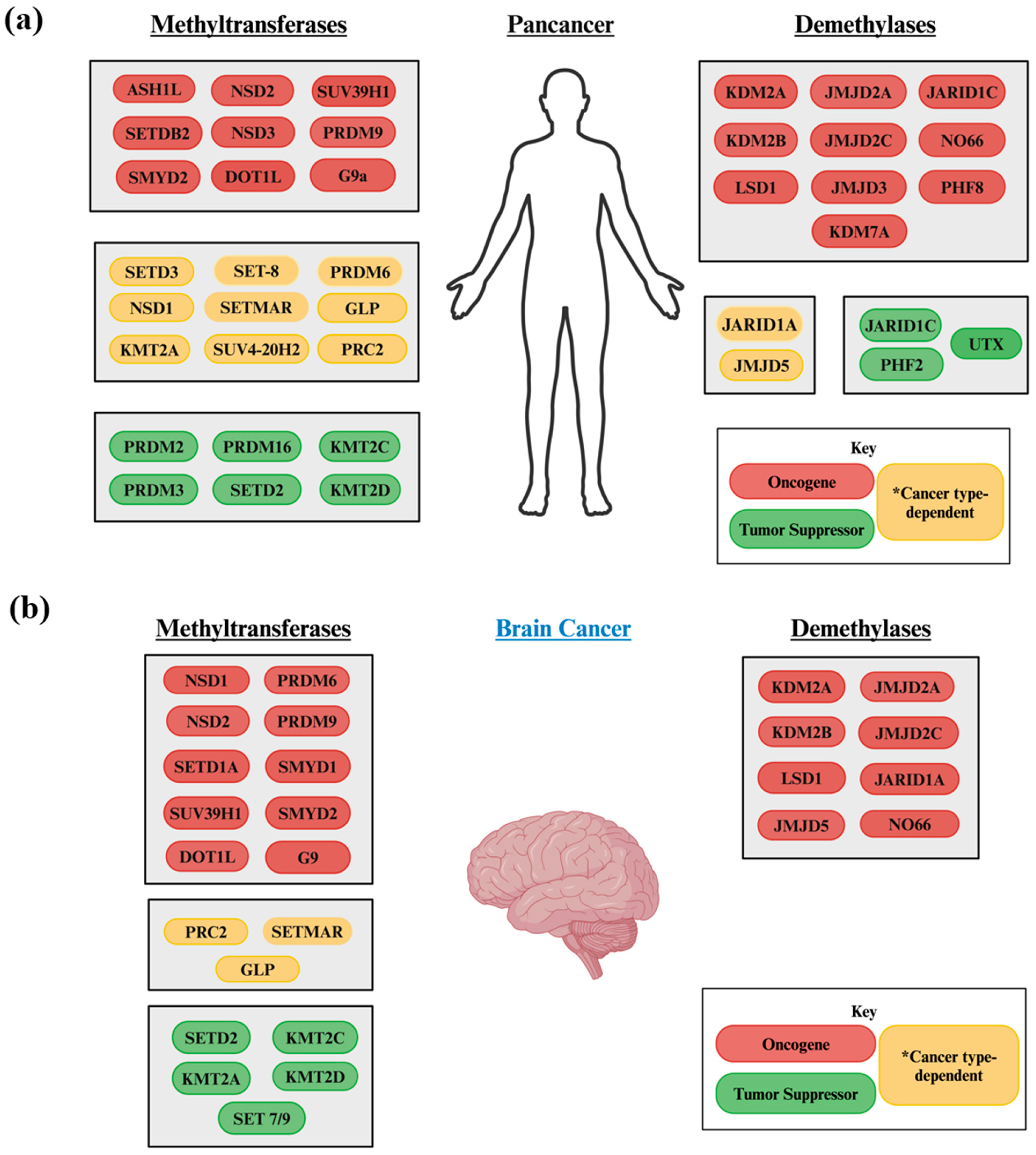 Biology 13 01008 g002 Biology 13 01008 g002