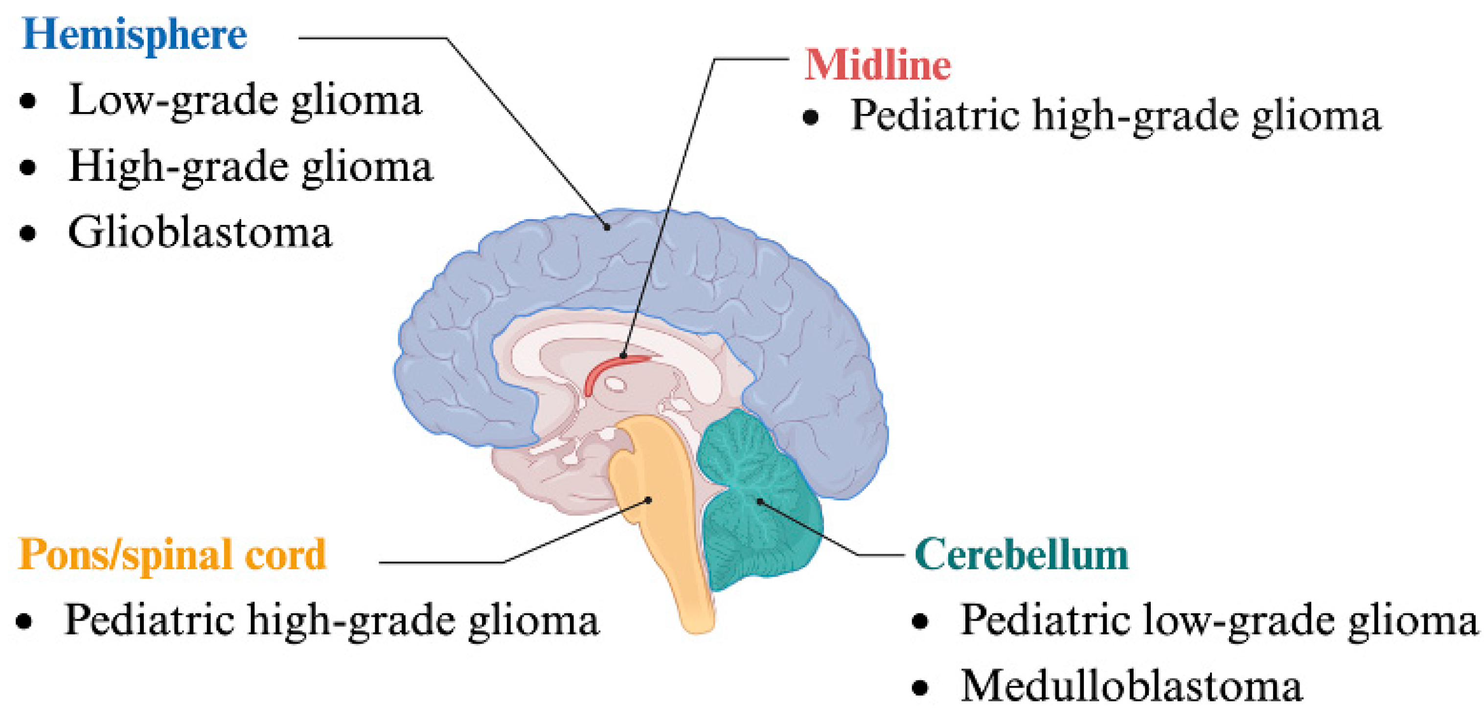 Biology 13 01008 g003 Biology 13 01008 g003
