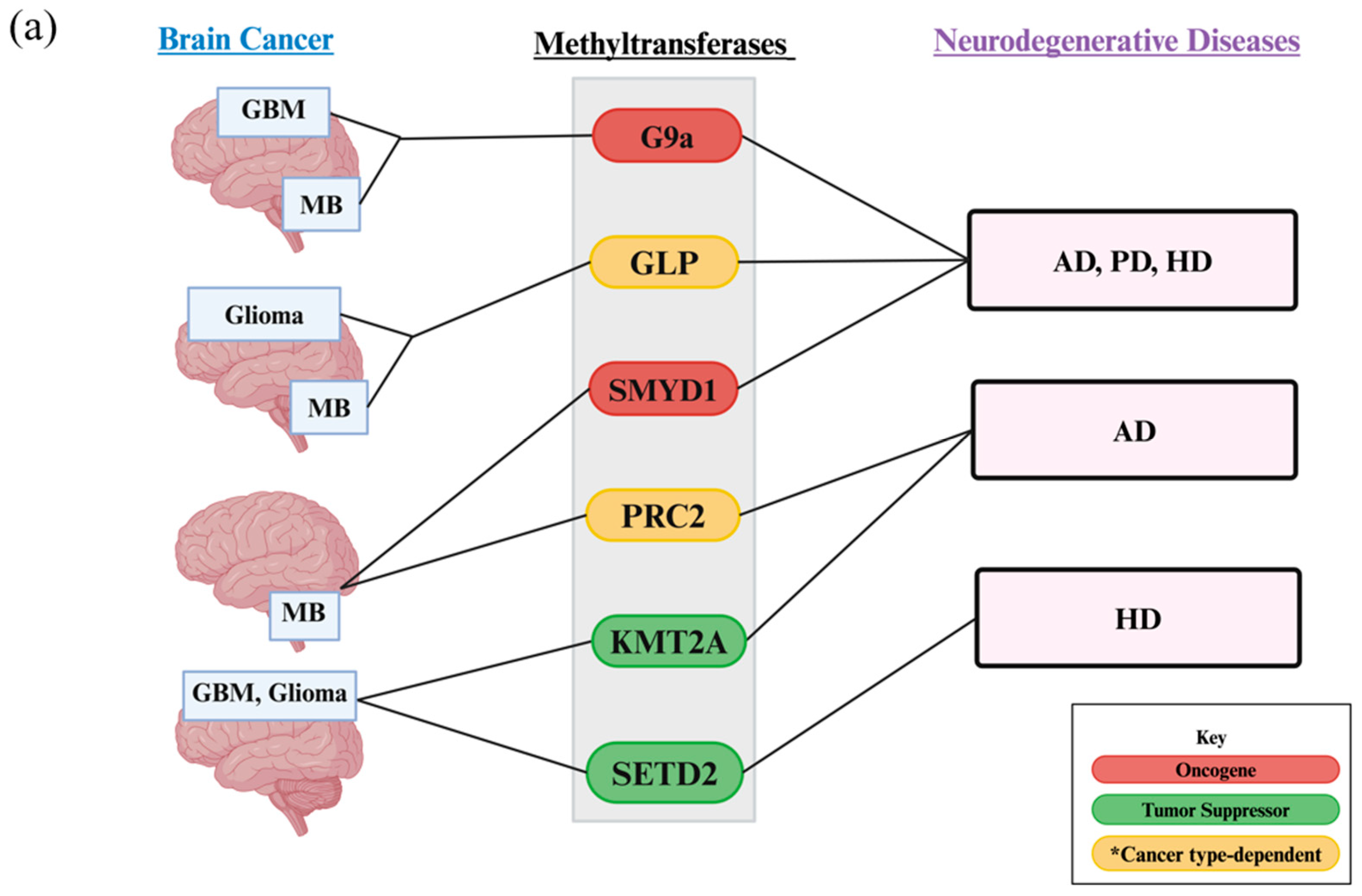Biology 13 01008 g005a Biology 13 01008 g005a