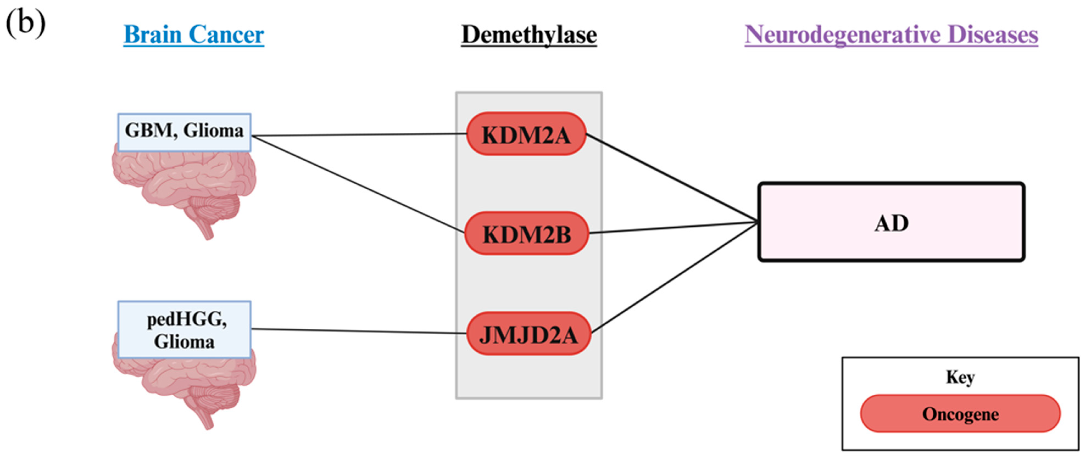 Biology 13 01008 g005b Biology 13 01008 g005b