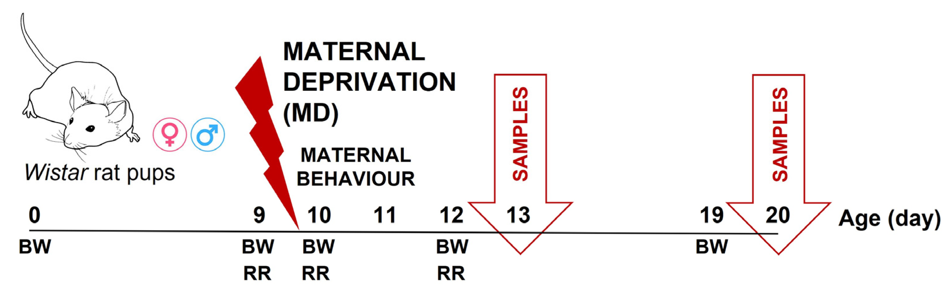 Biology 13 01011 g001