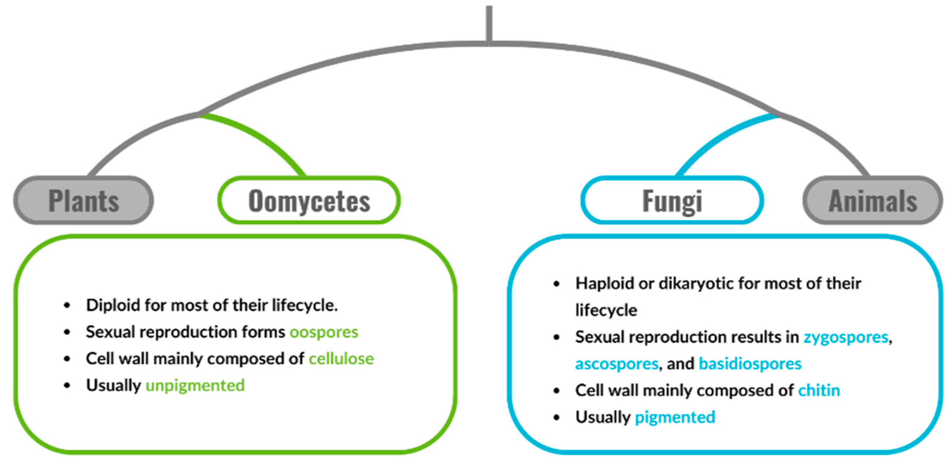 Biology 13 01014 g001