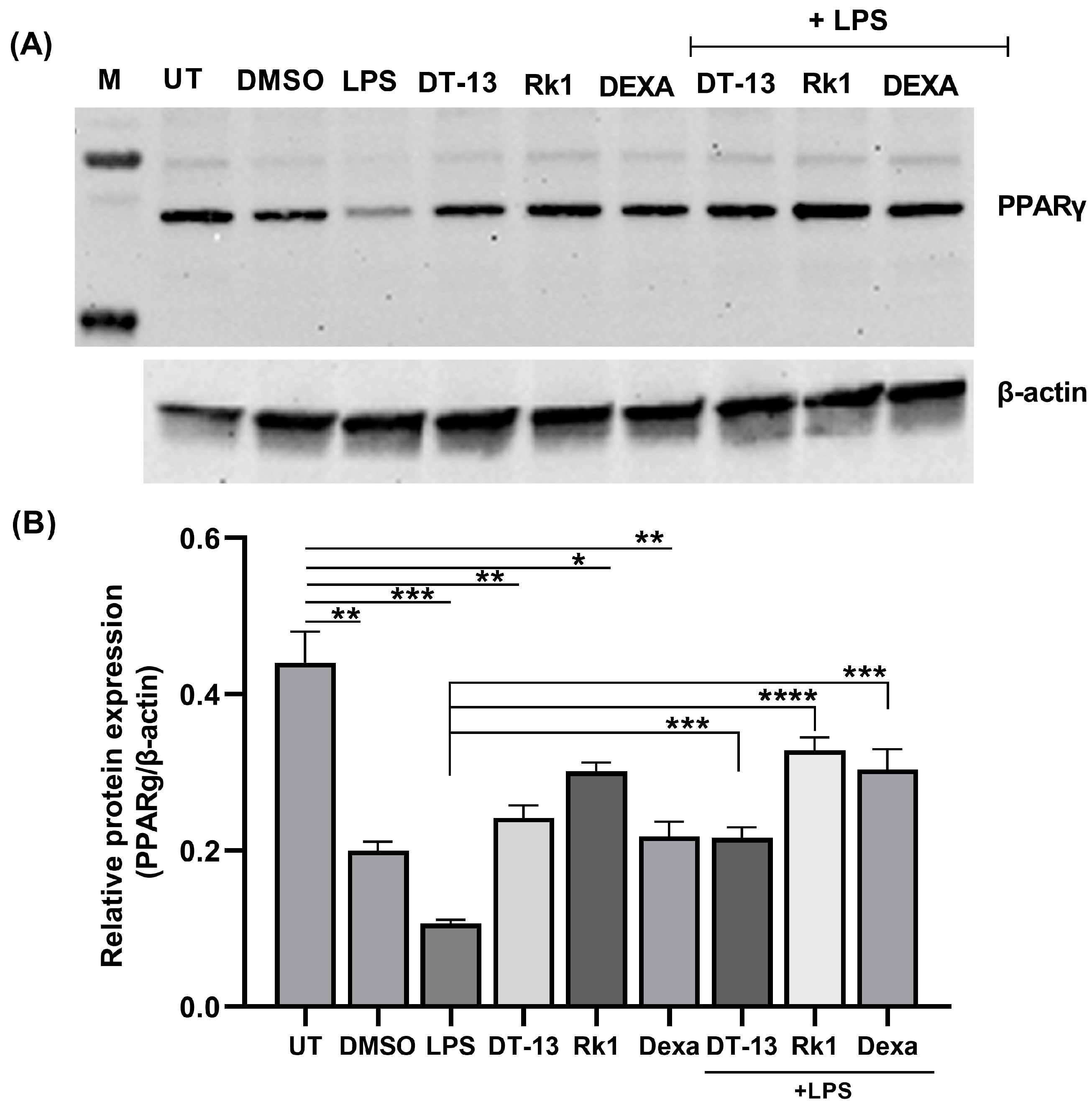 Biology 13 01015 g001
