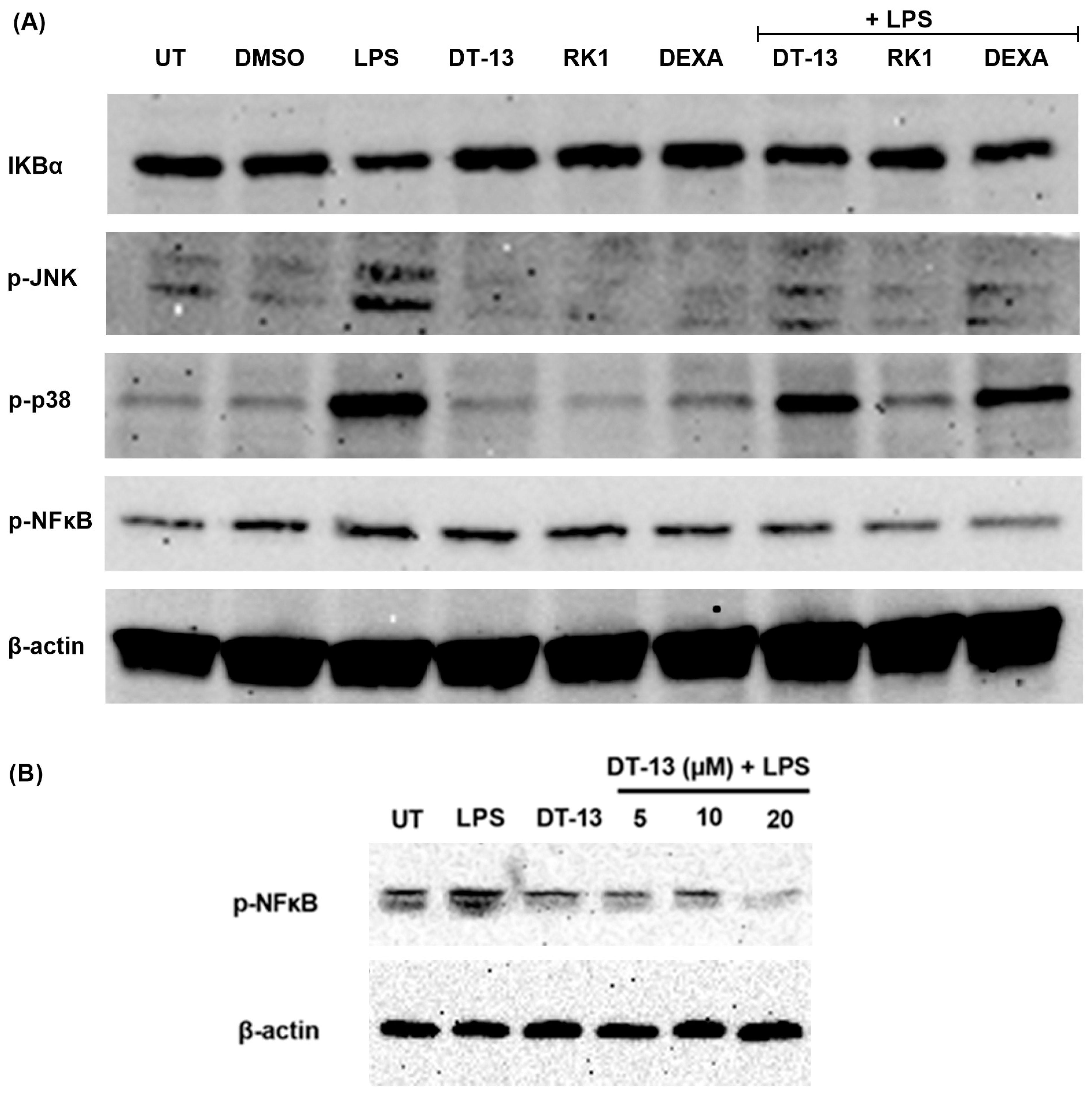 Biology 13 01015 g0a1