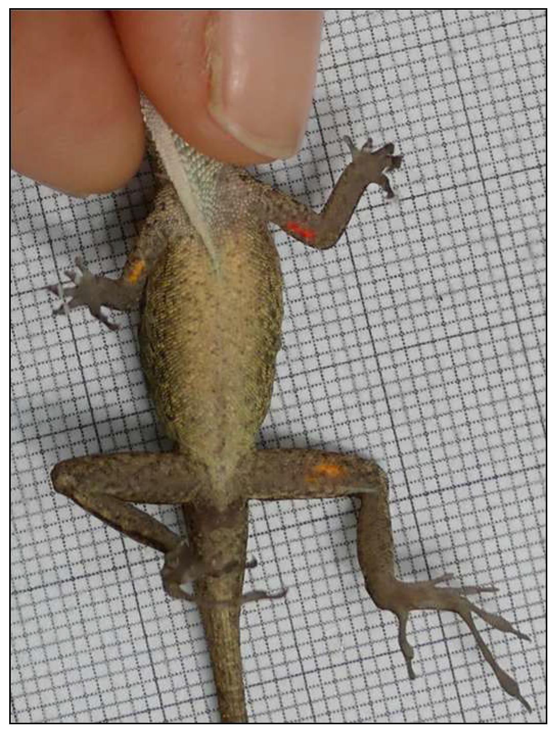 Biology 13 01019 g001