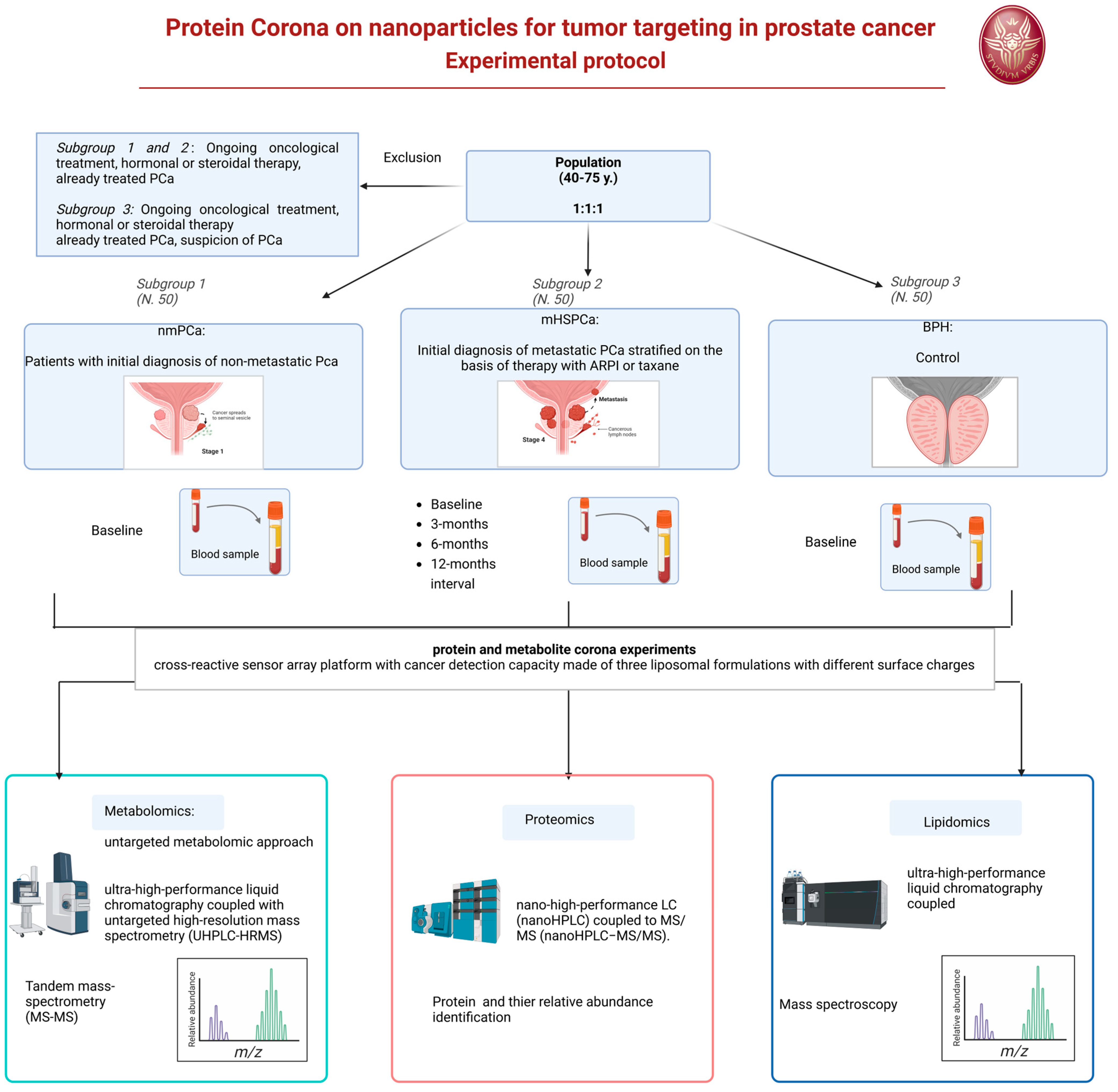 Biology 13 01024 g002