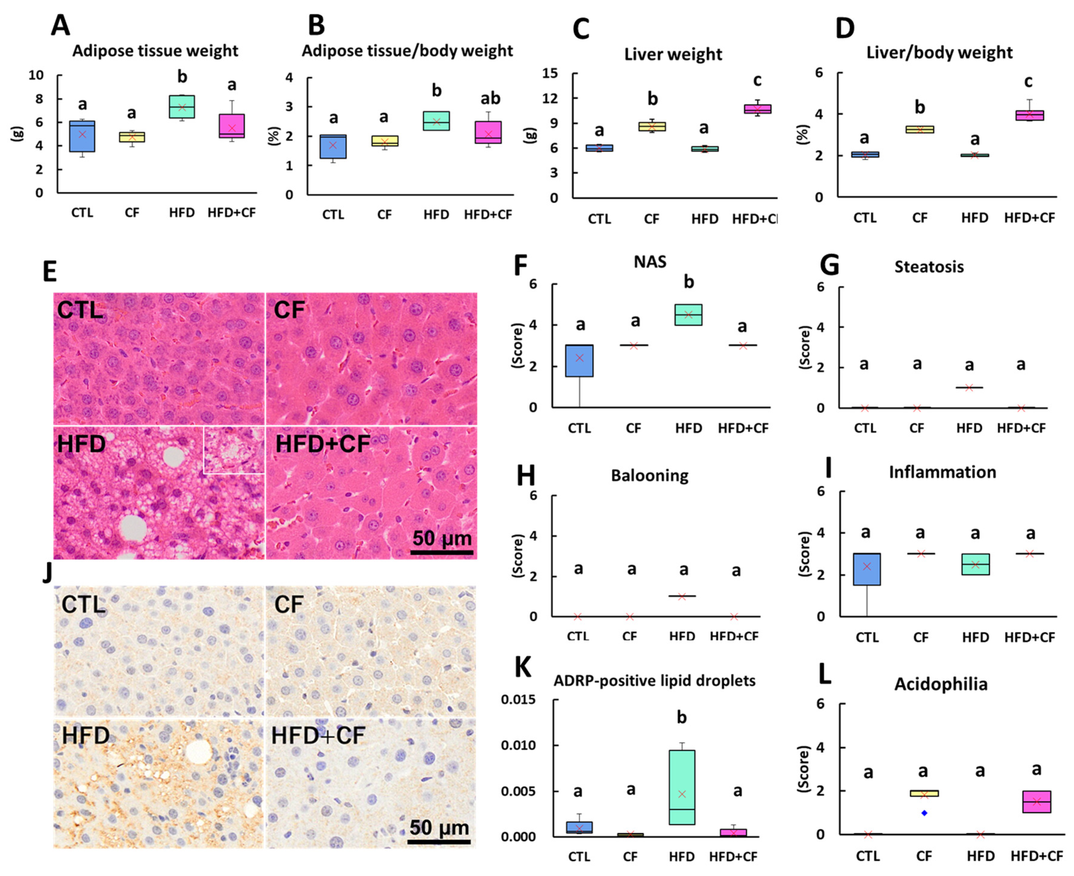 Biology 13 01027 g001