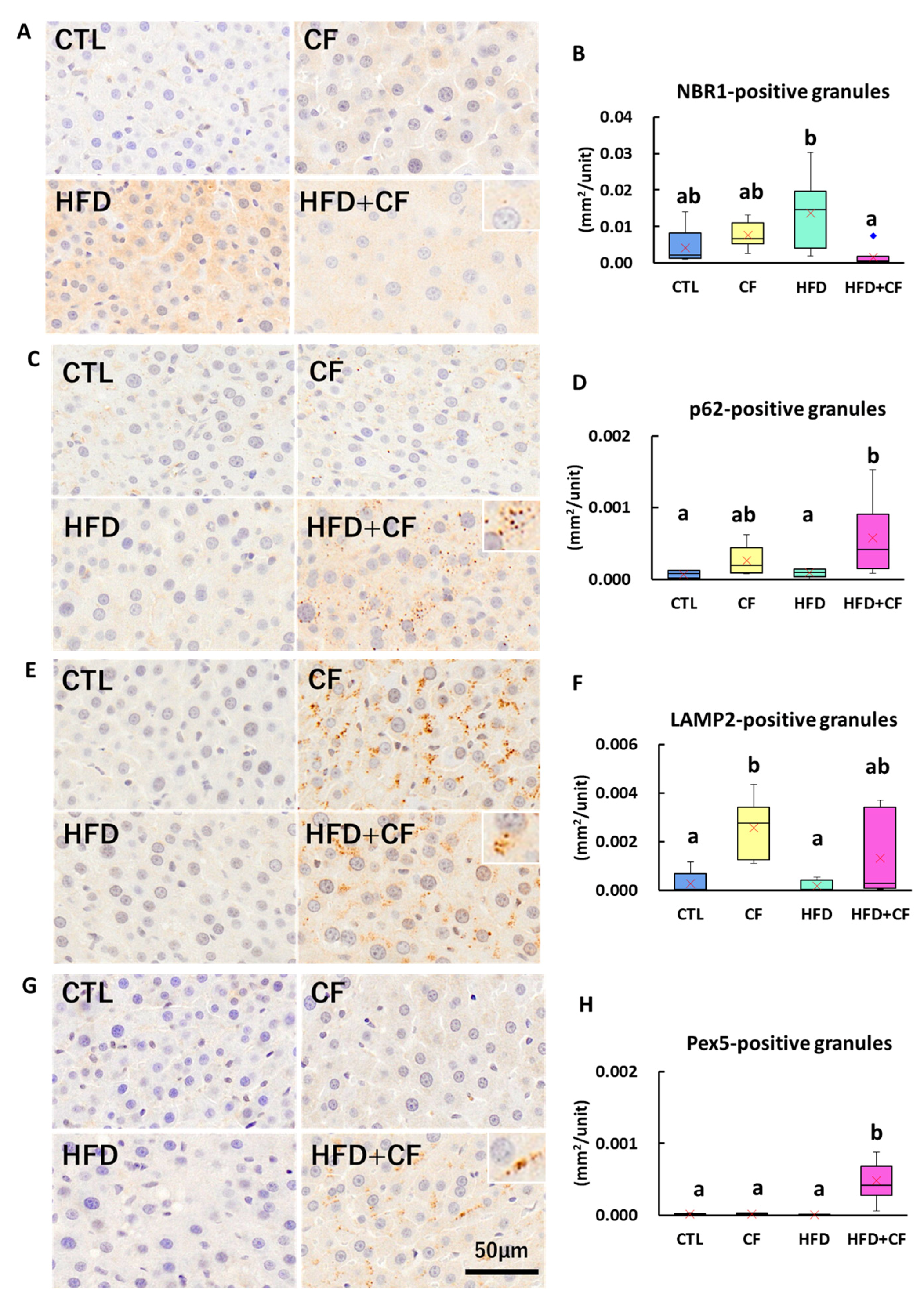 Biology 13 01027 g002