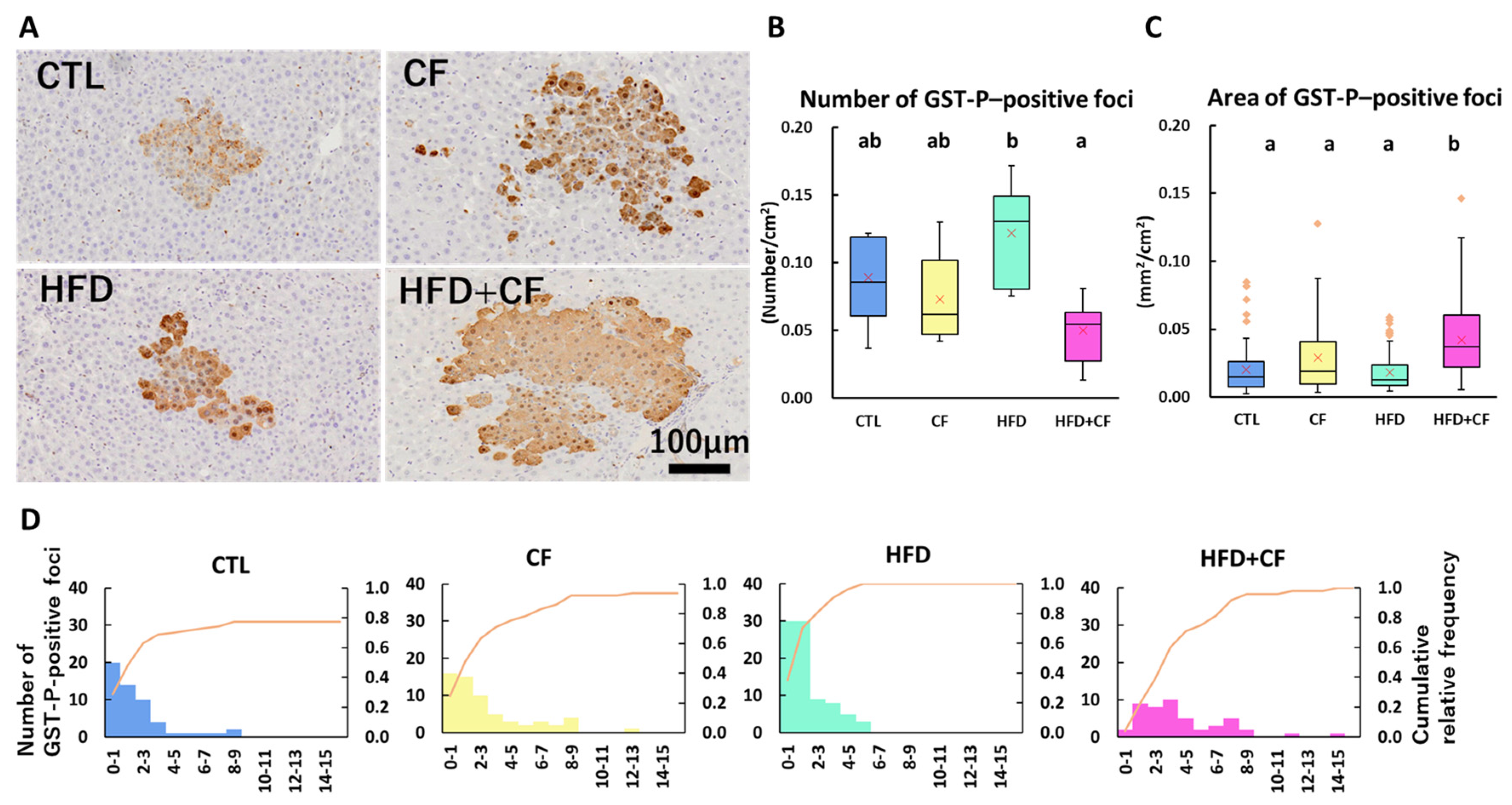 Biology 13 01027 g004