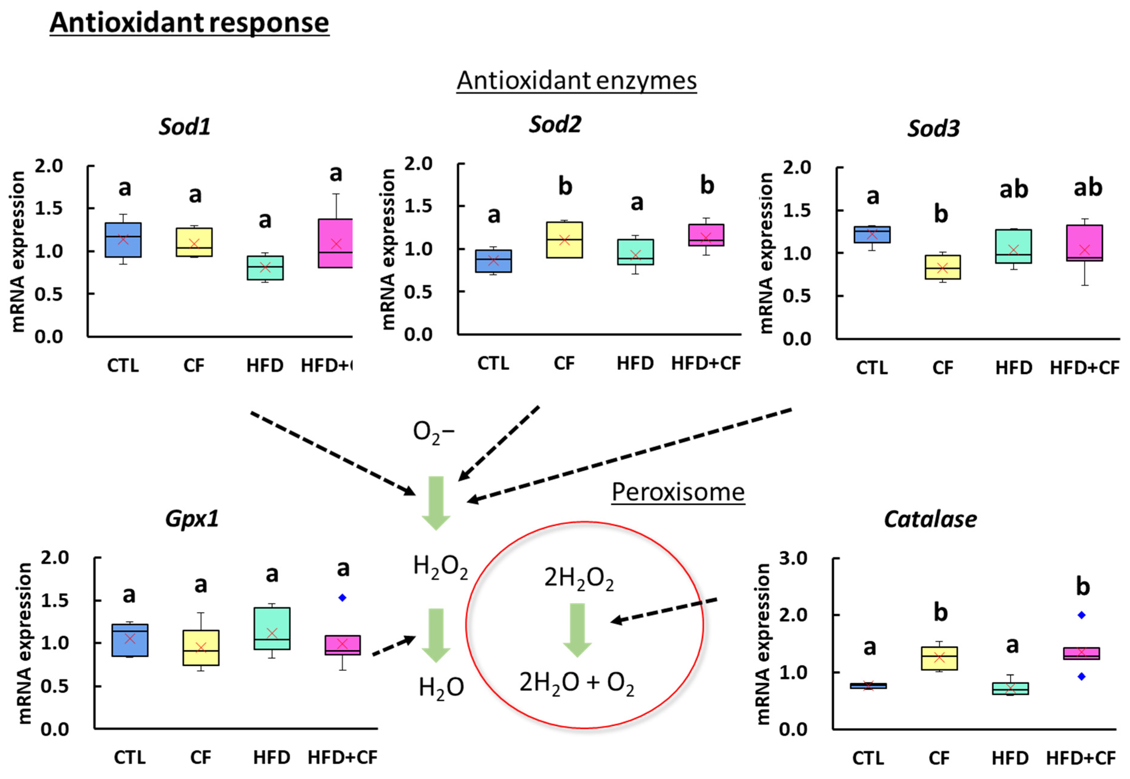 Biology 13 01027 g007